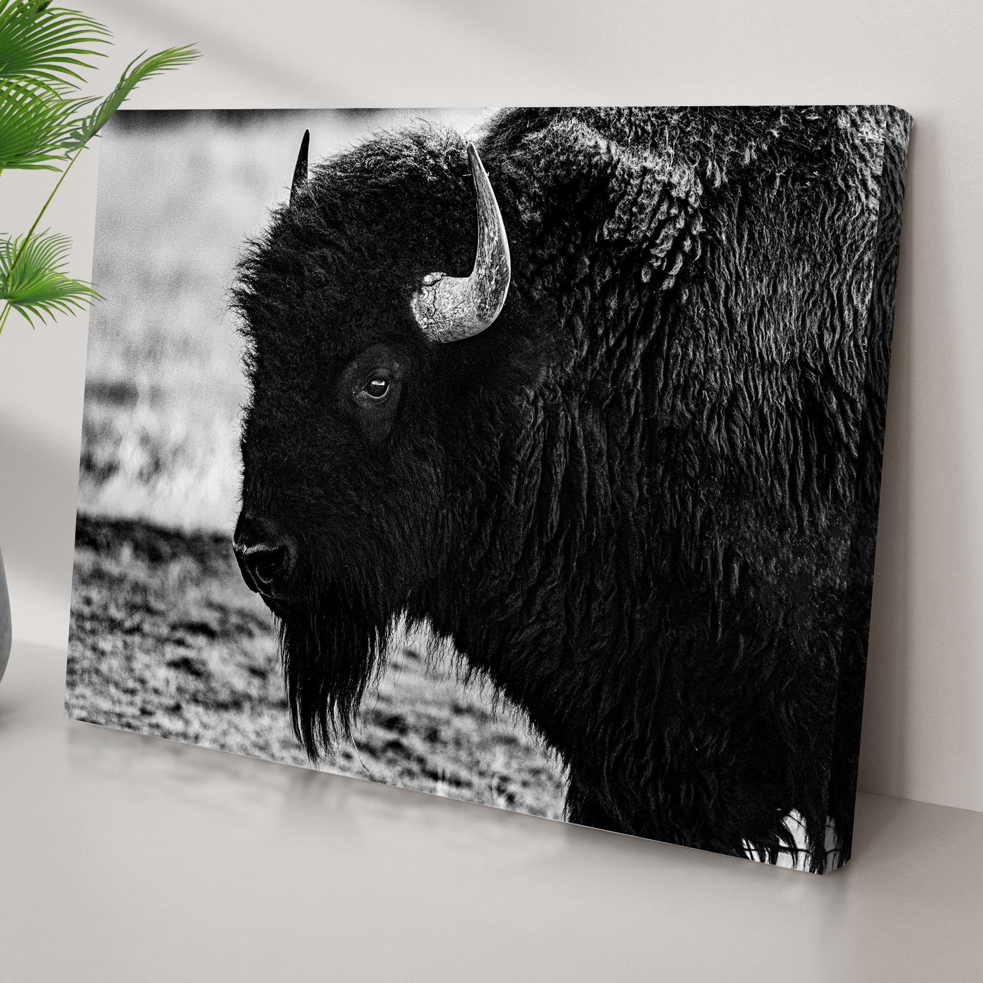 Black and White Bison Canvas Wall Art - Image 3