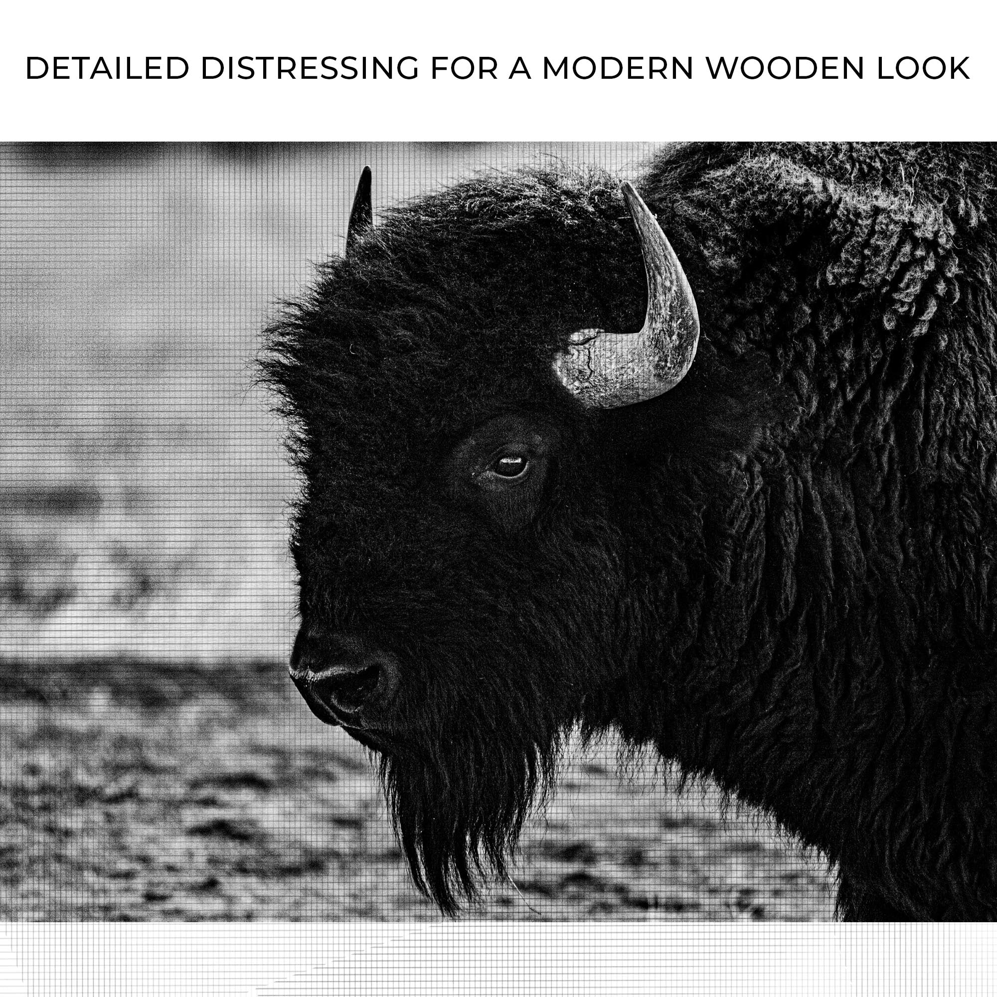 Black and White Bison Canvas Wall Art - Image 4