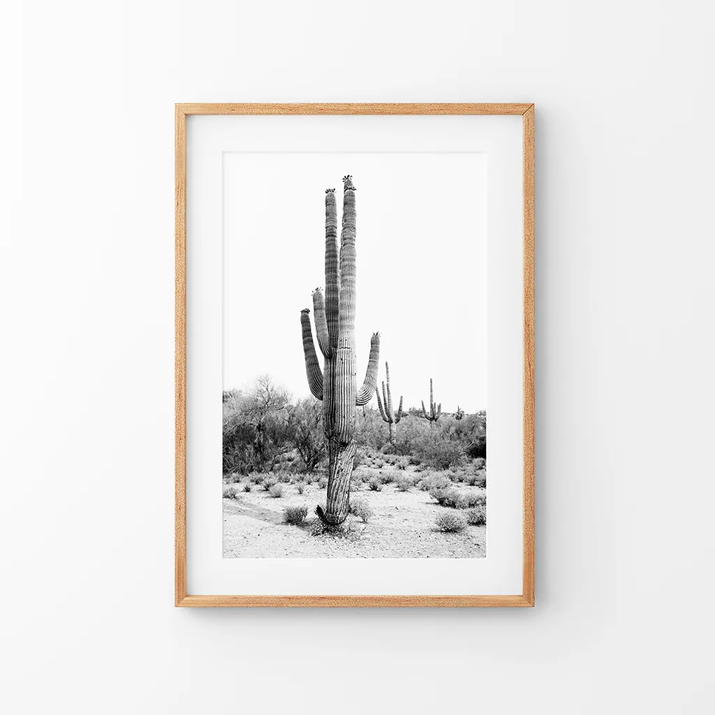 Black White Saguaro Cactus Poster. Arizona Desert Nature - Image 8