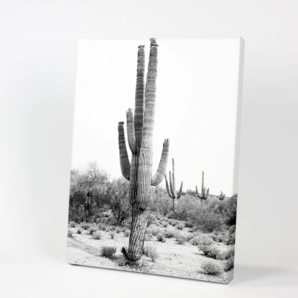 Black White Saguaro Cactus Poster. Arizona Desert Nature - Image 9
