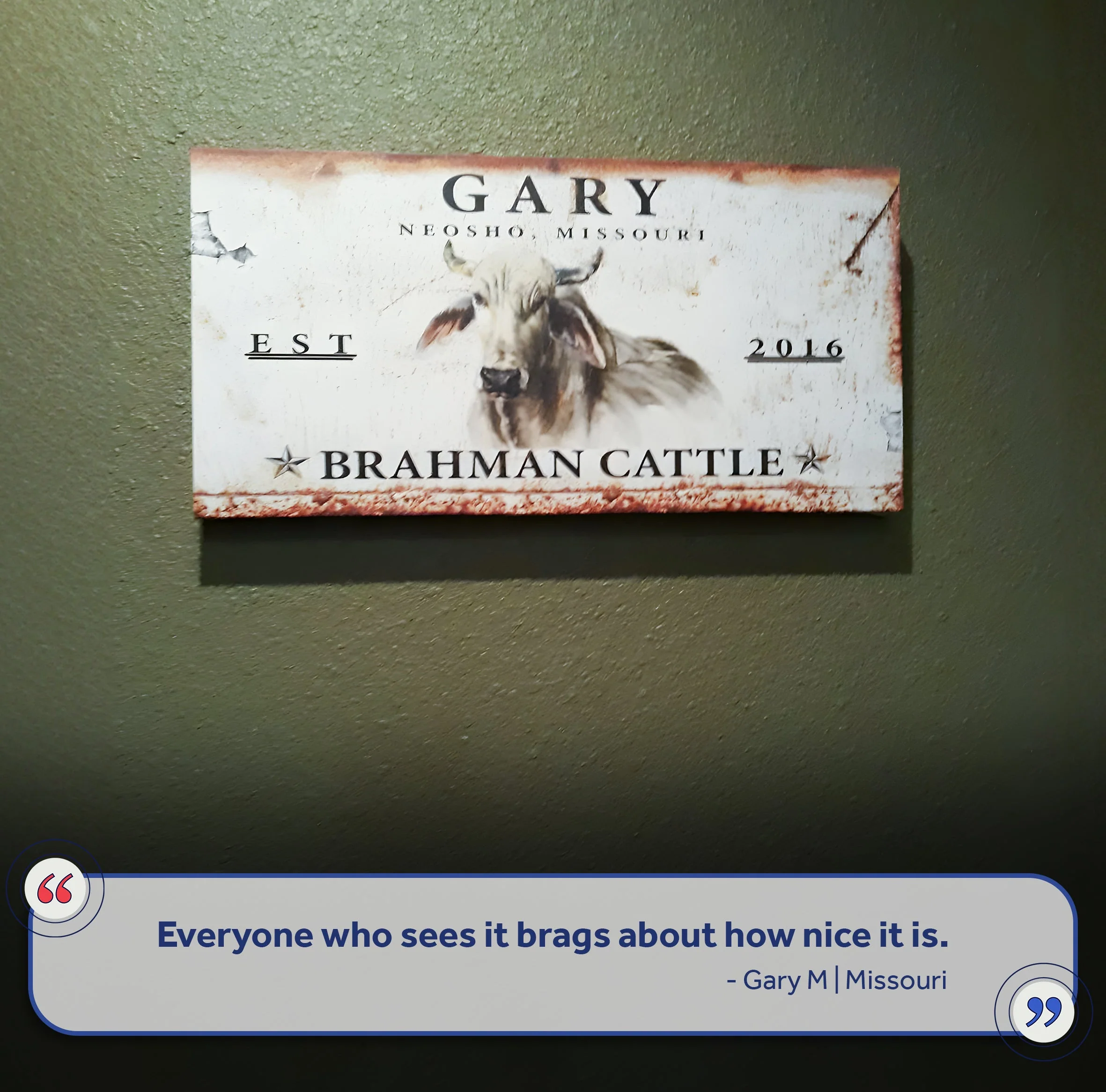 Brahman Cattle Sign II - Image 7