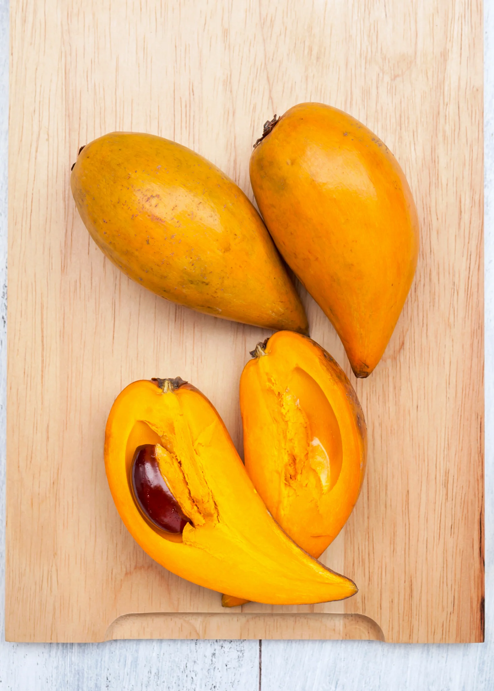 Canistel 'Fairchild #2' (Pouteria campechiana)