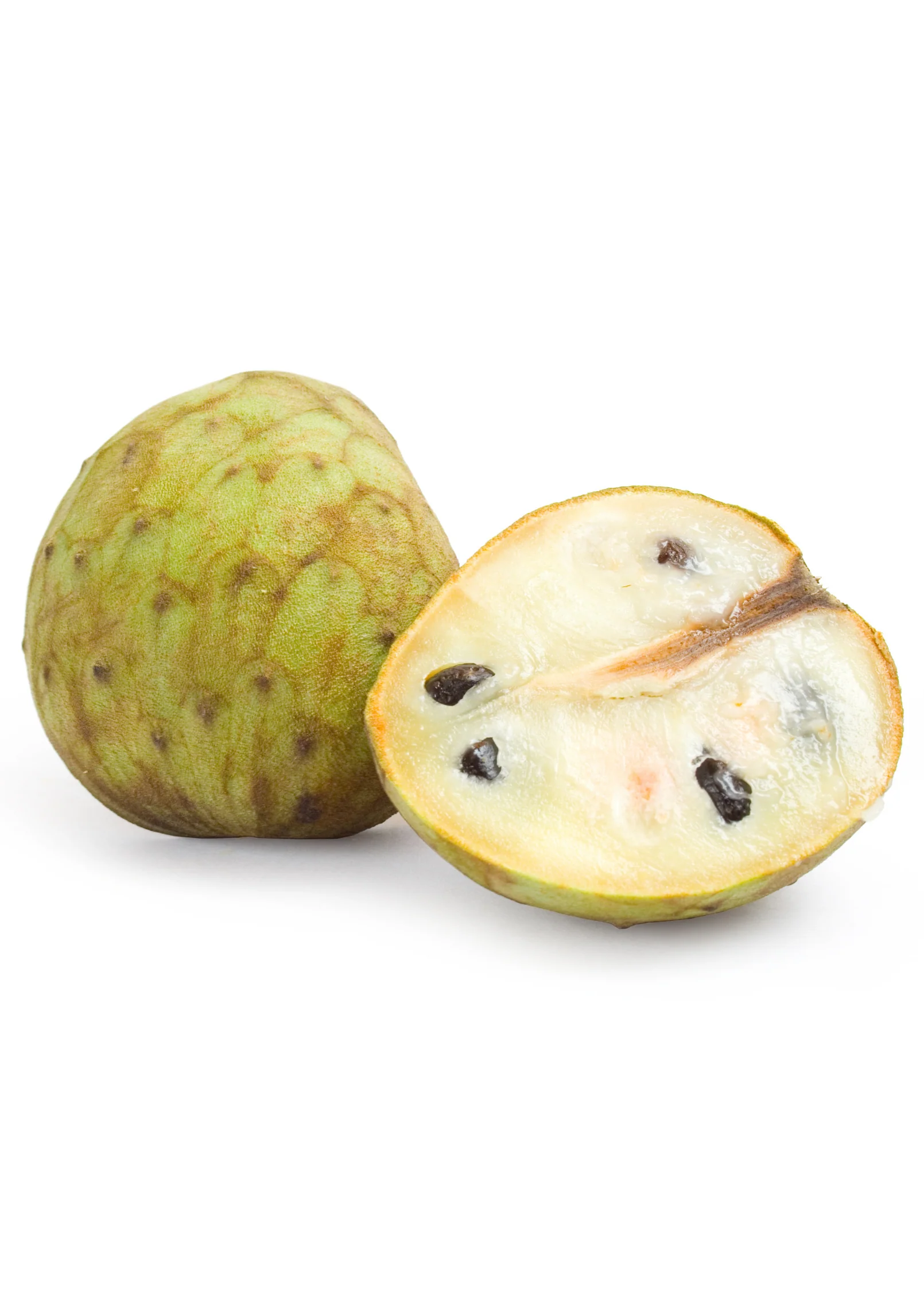 Cherimoya (Annona cherimola) - Image 4