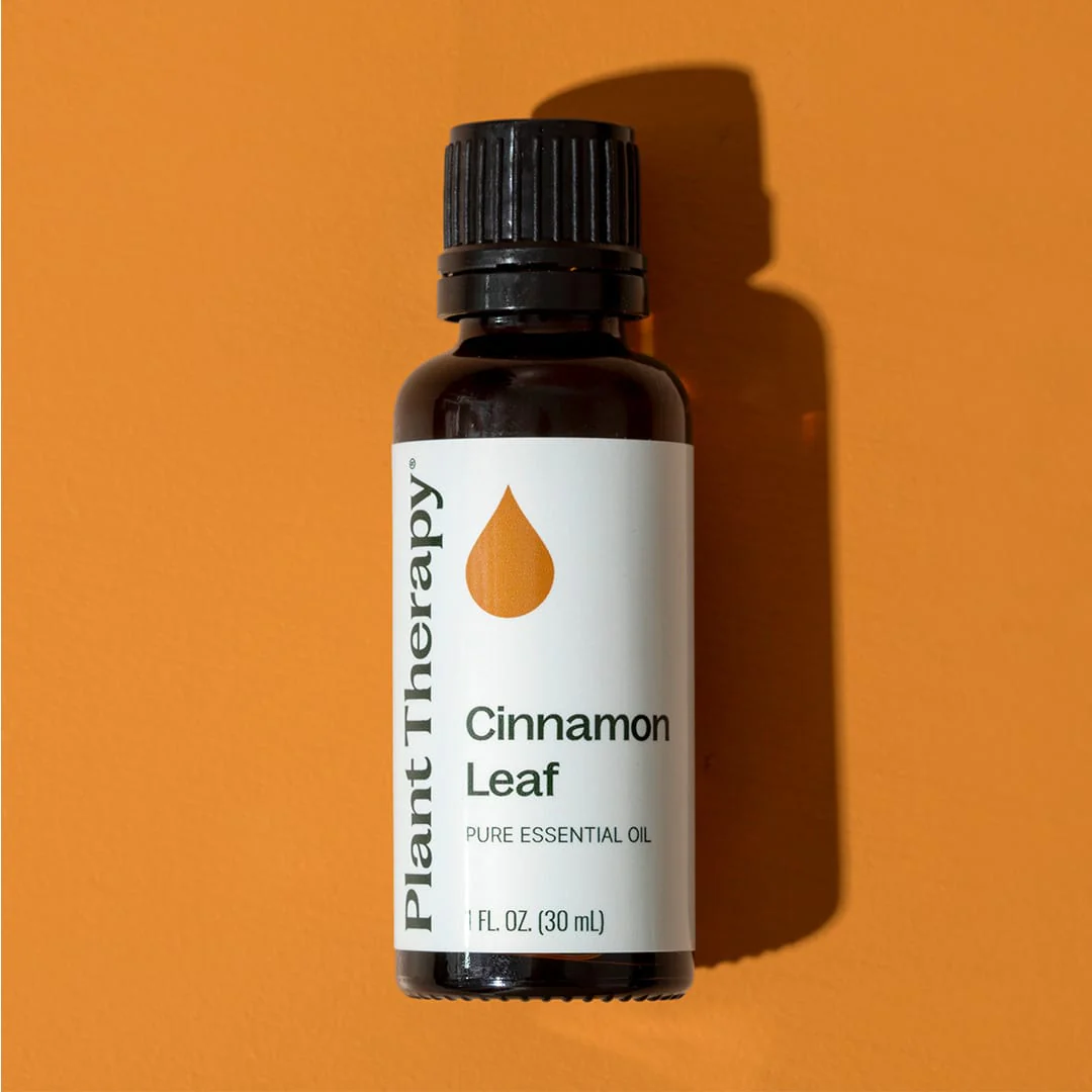 Cinnamon Leaf Essential Oil - Image 10
