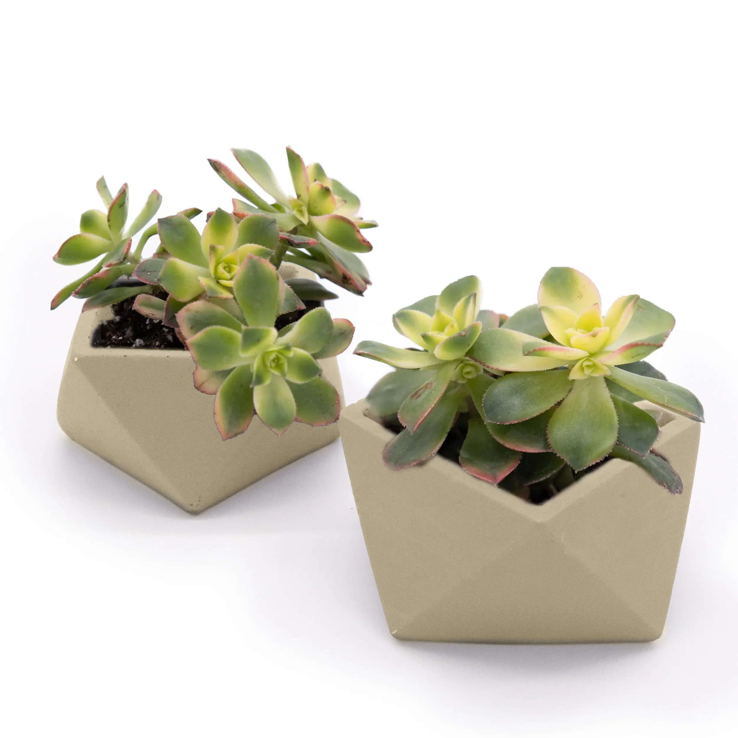 Concrete Mini Wedge Tabletop Planters (Set of 2) - Image 2