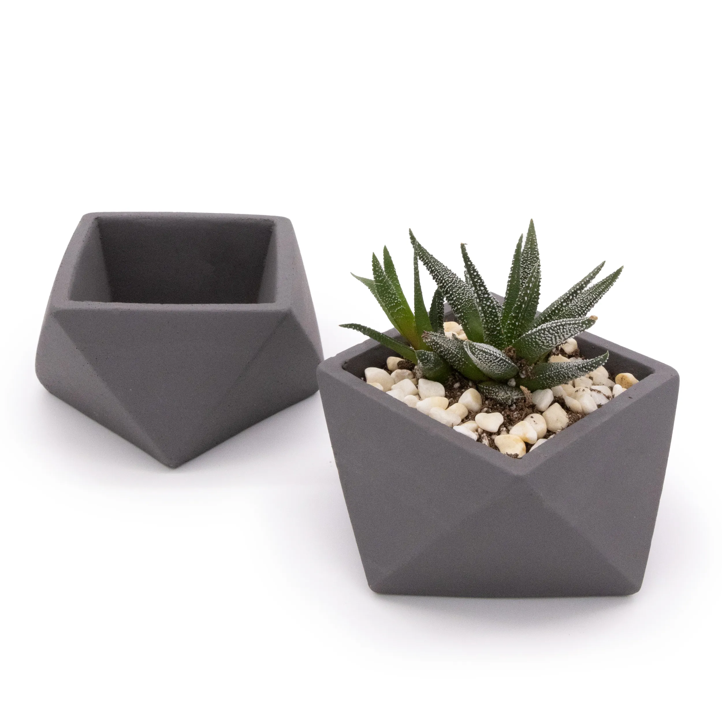Concrete Mini Wedge Tabletop Planters (Set of 2) - Image 5