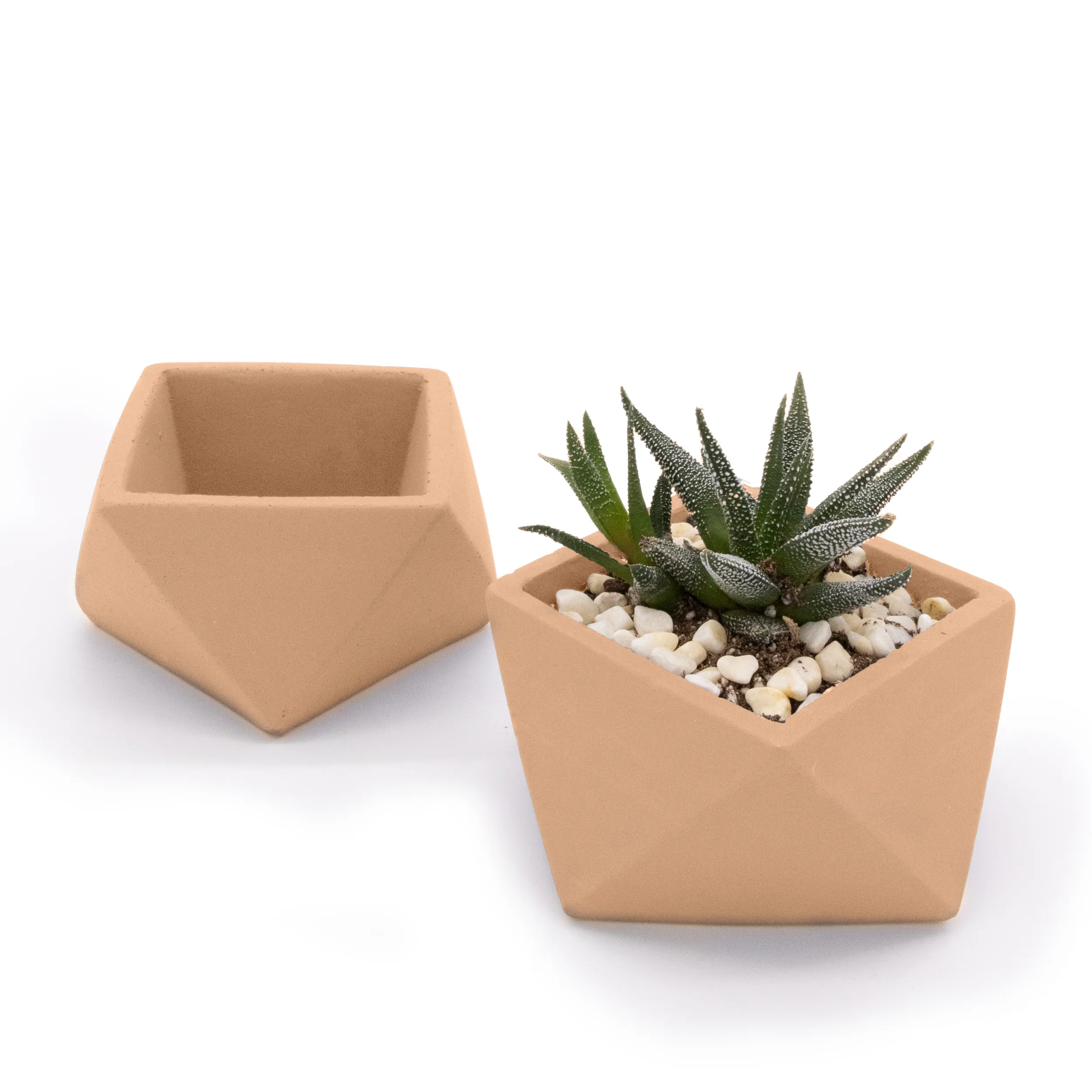 Concrete Mini Wedge Tabletop Planters (Set of 2) - Image 8