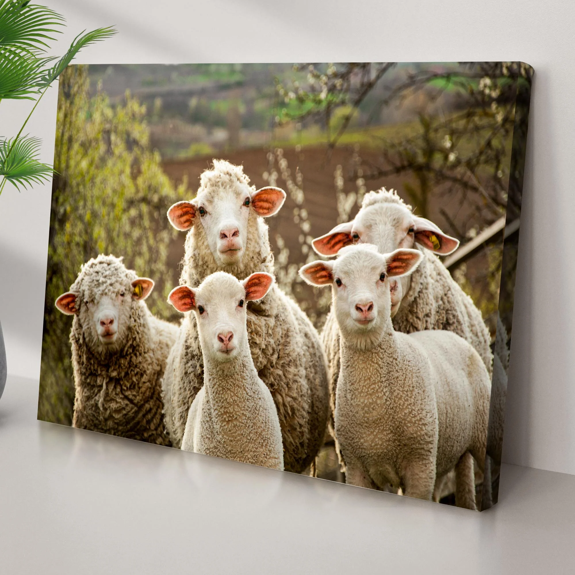 Curious Sheep Canvas Wall Art - Image 2