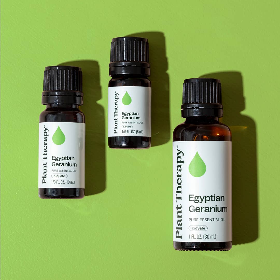 Egyptian Geranium Essential Oil - Image 11
