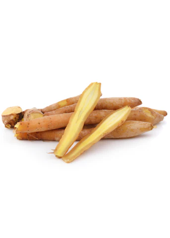 Finger Root ‘Chinese Keys’ (Boesenbergia Rotunda) - Image 2