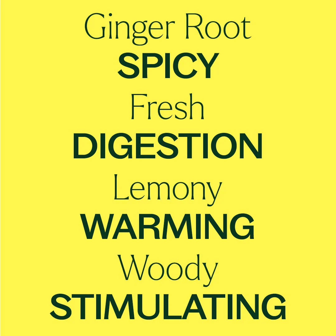 Ginger Root CO2 Extract - Image 5