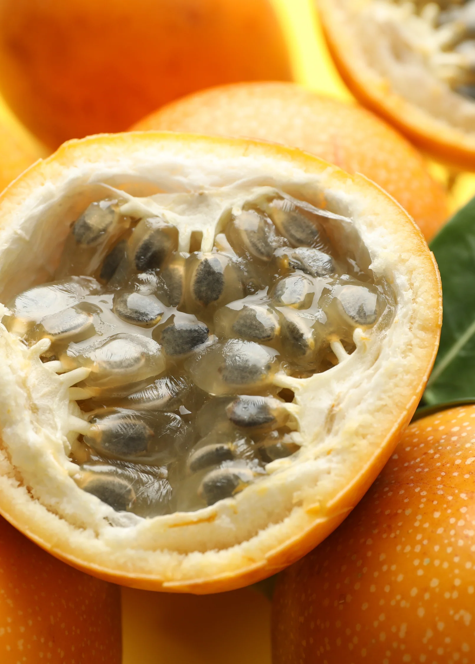 Golden Apple Passionfruit (Passiflora laurifolia)