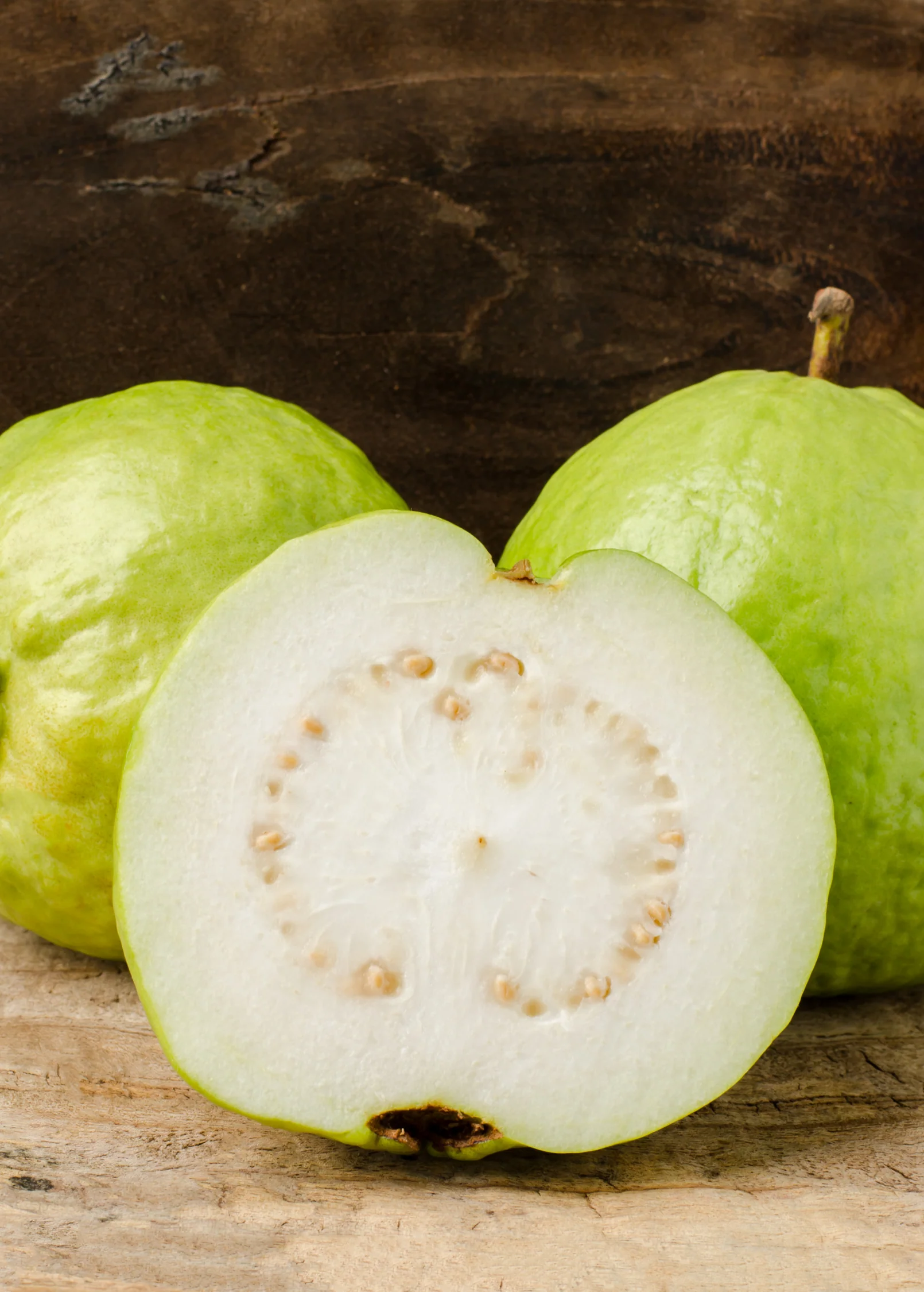 Guava 'Kilo' (Psidium guajava) - Image 2