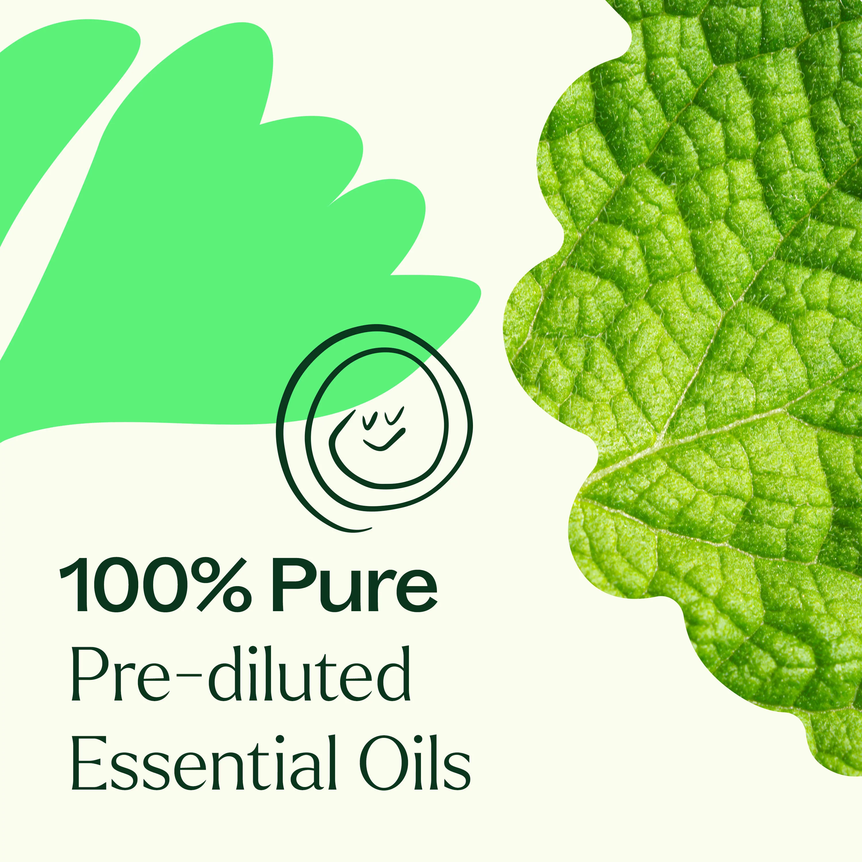 Gut Aid™ Essential Oil Blend Pre-Diluted Roll-On - Image 4