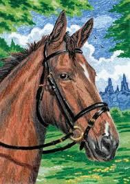 Horse Mini Colour Pencil By Number