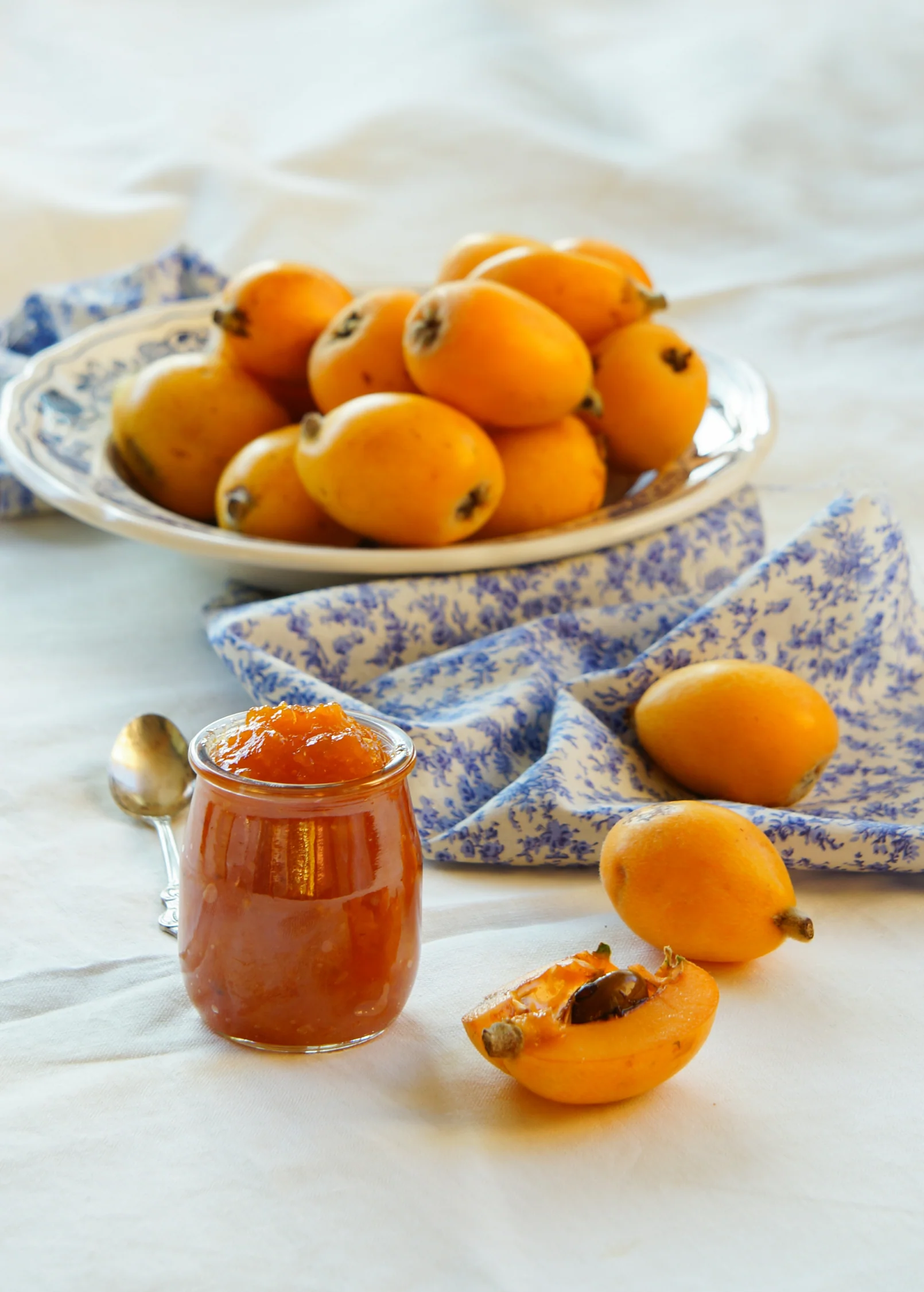 Loquat 'Italy' (Eriobotrya japonica) - Image 2