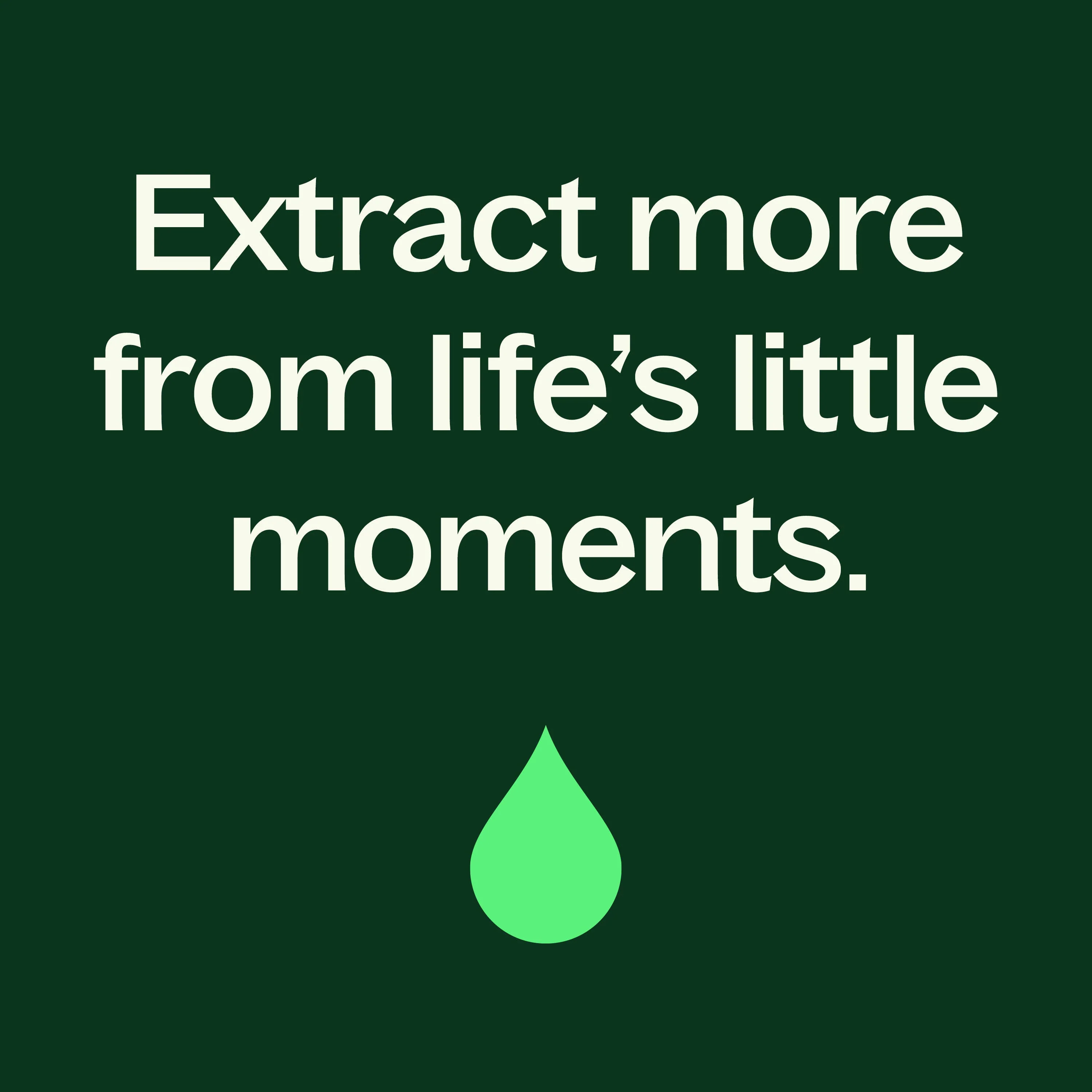 Manuka Essential Oil - Image 3