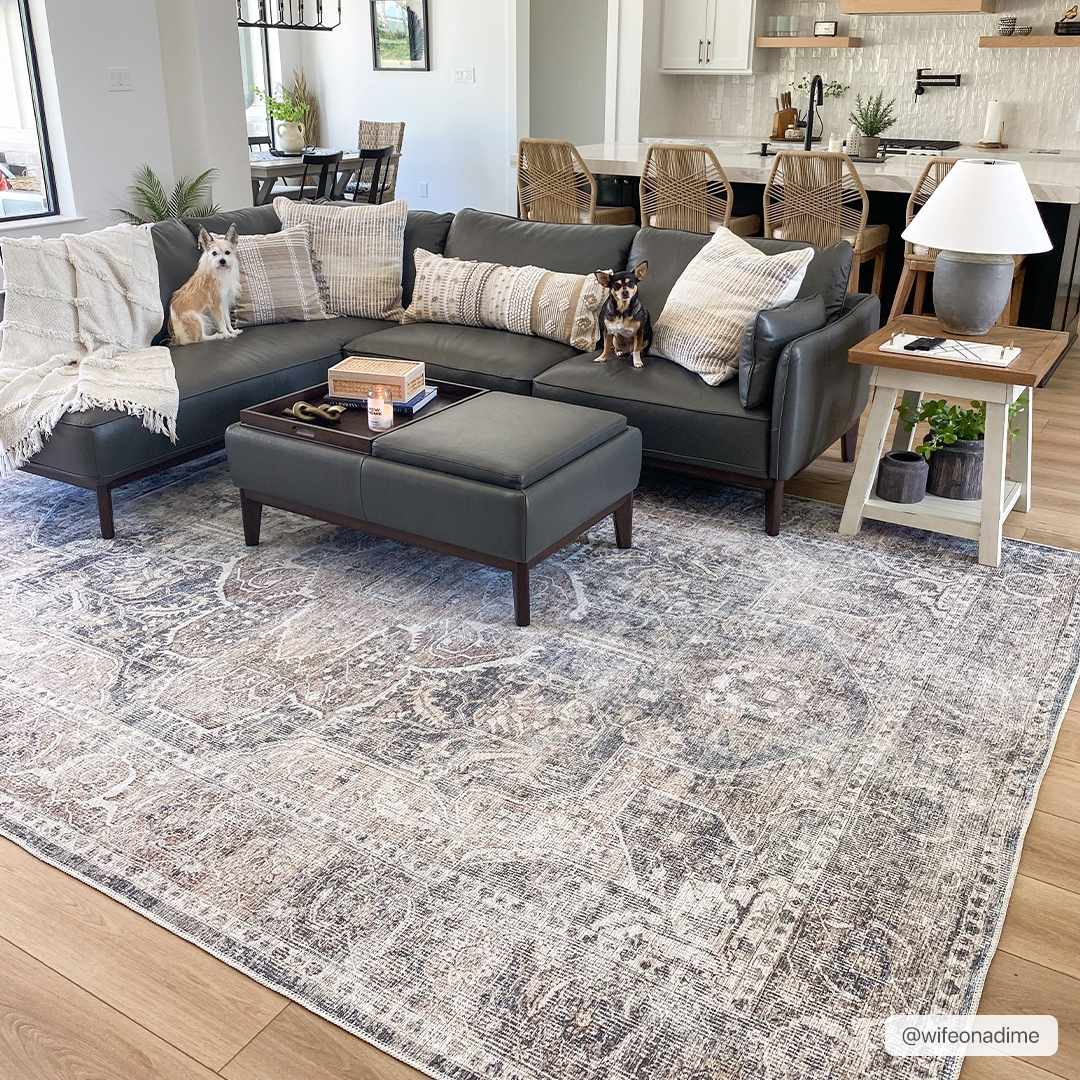 Mignon Washable Area Rug - Image 3