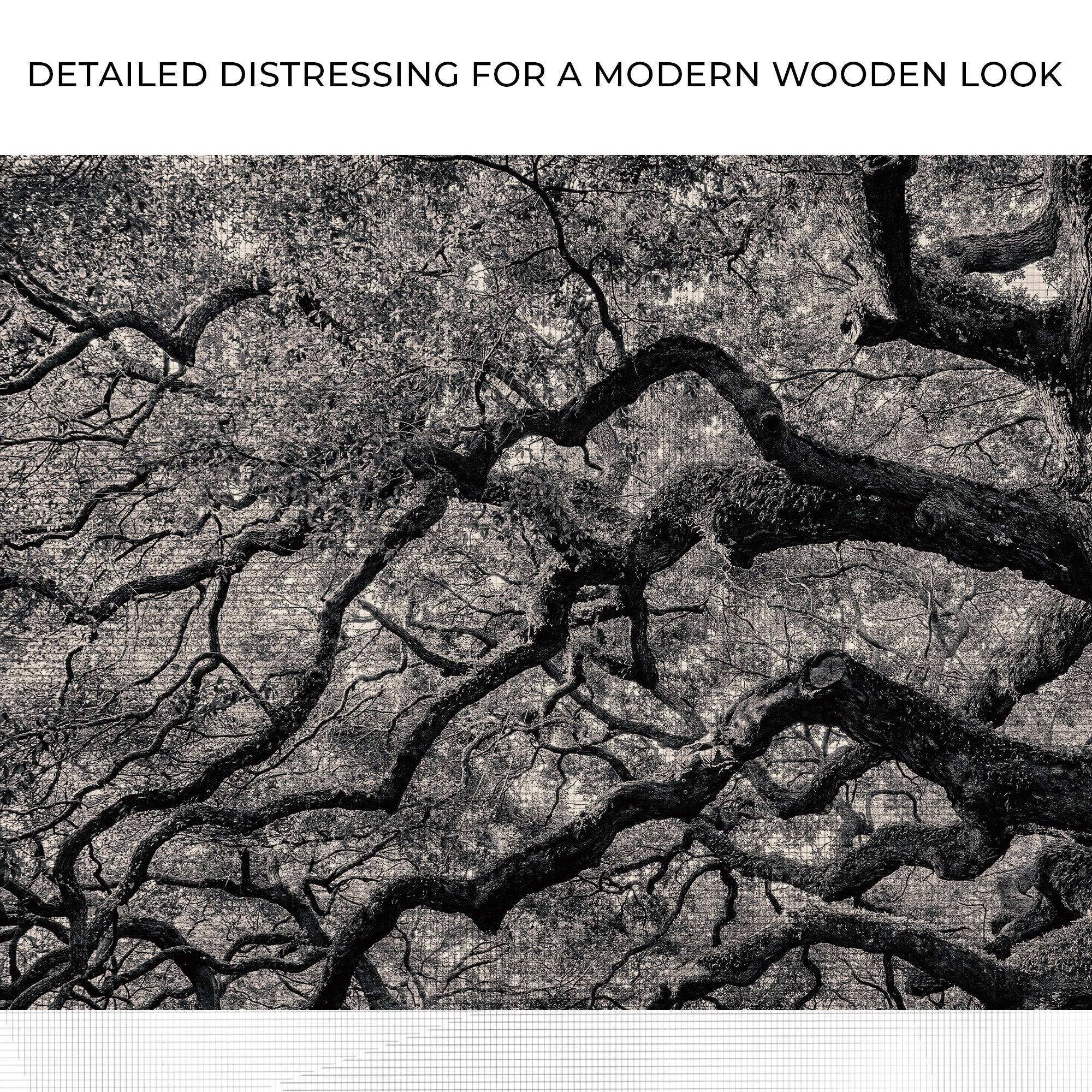 Monochrome Angel Oak Tree Canvas Wall Art - Image 4