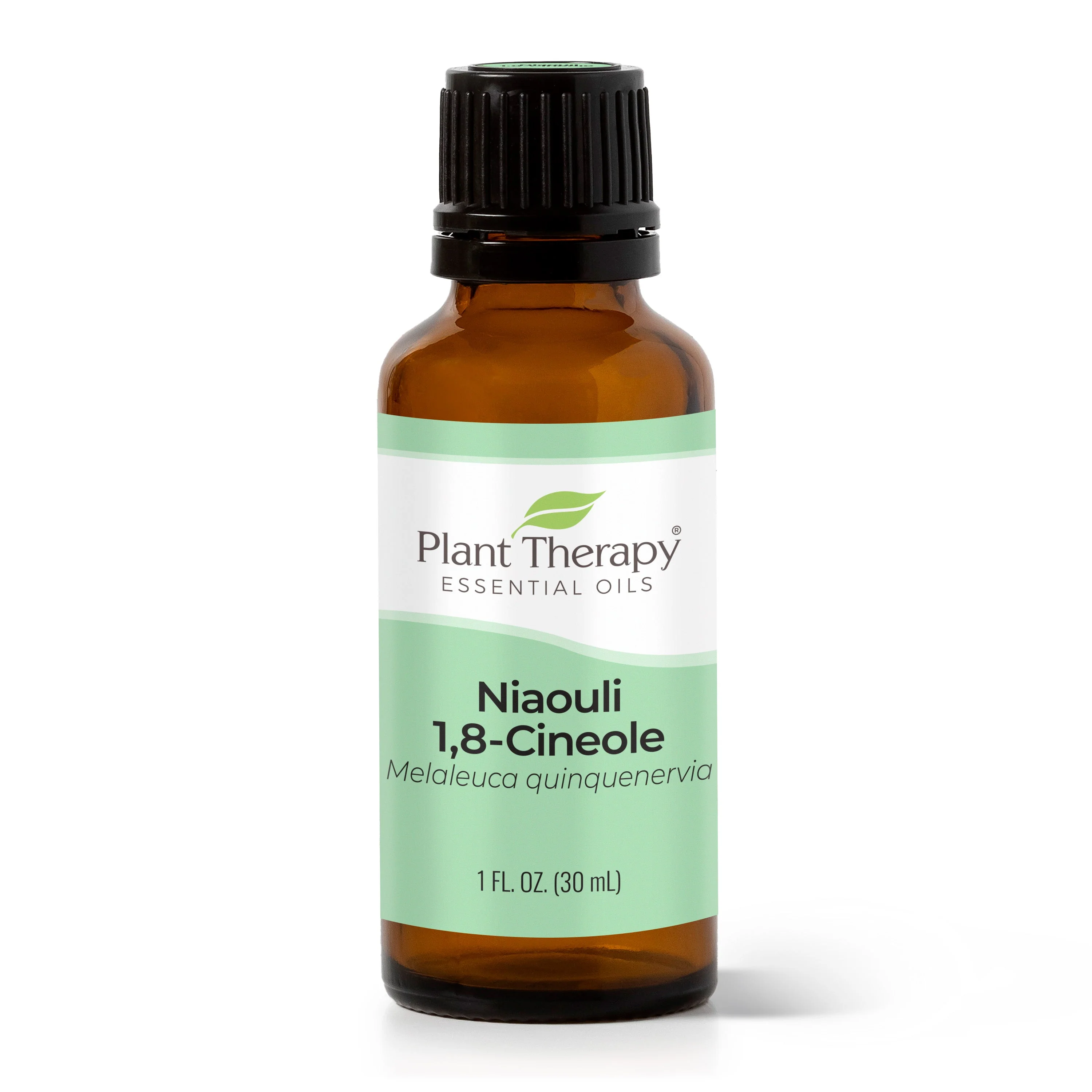 Niaouli 1,8-Cineole Essential Oil - Image 10