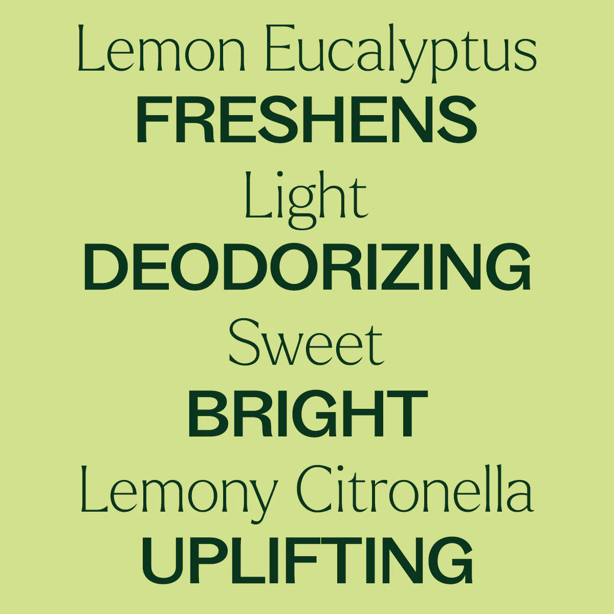 Organic Lemon Eucalyptus Essential Oil - Image 3