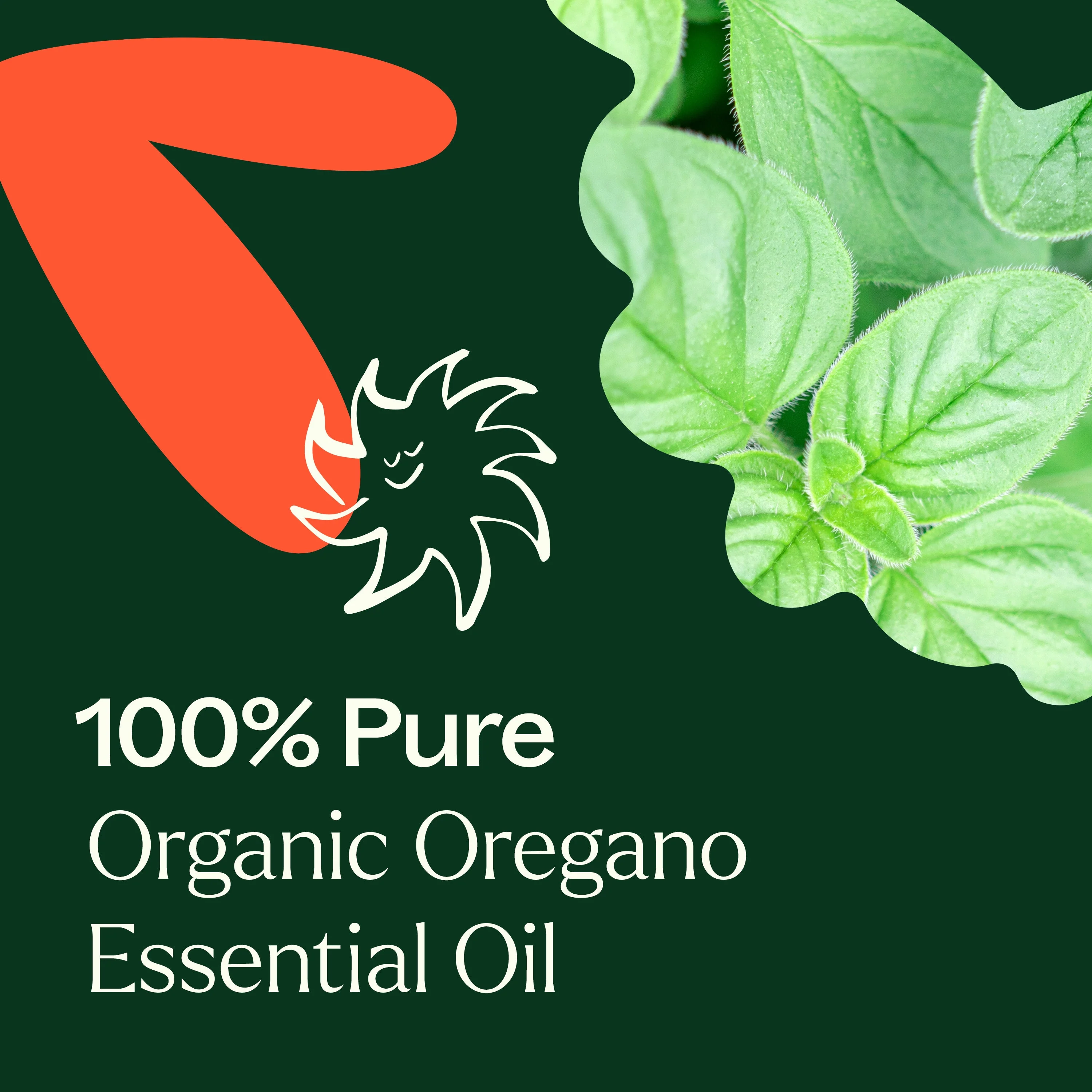 Organic Oregano Essential Oil - Image 5