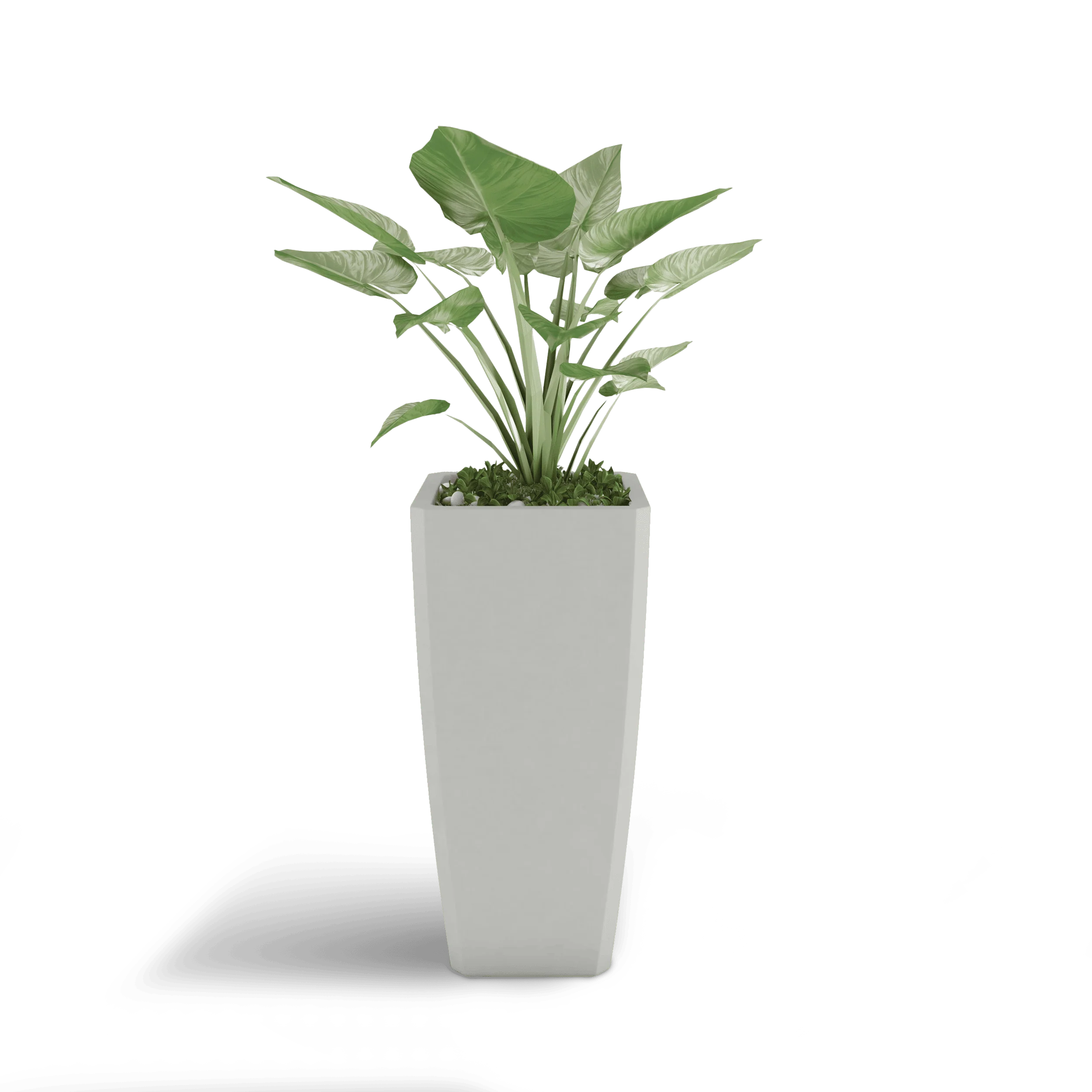 Quartet Planter - Image 14