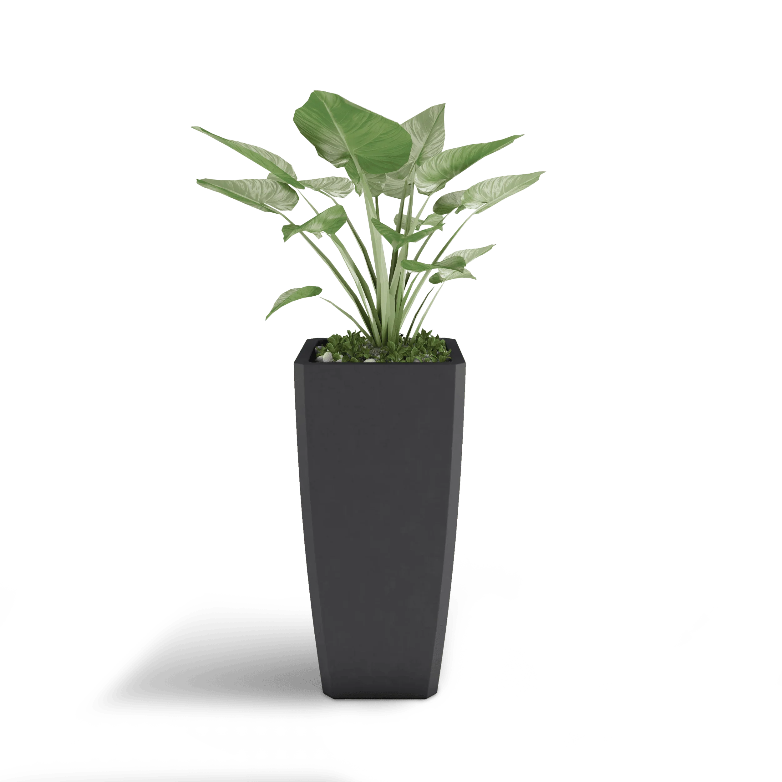 Quartet Planter - Image 8