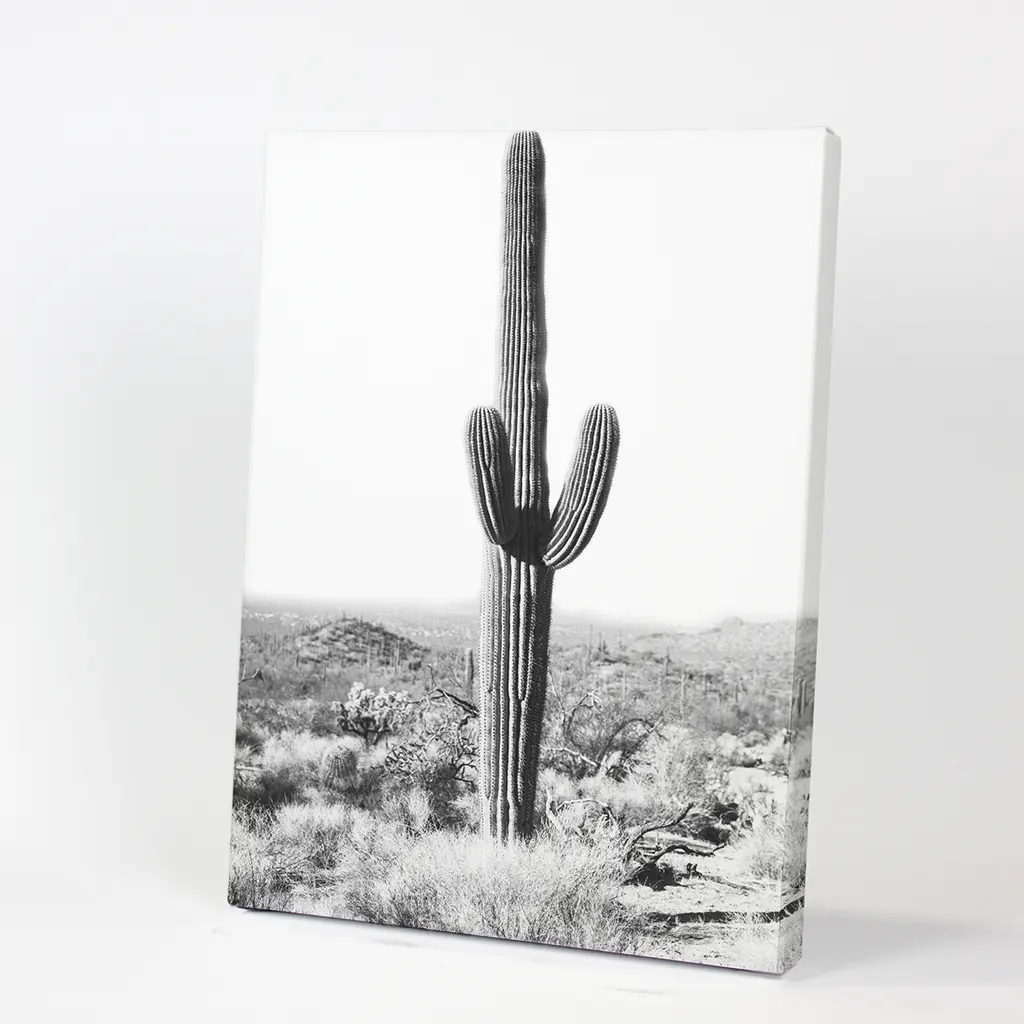 Saguaro Cactus Print. Black White Arizona Desert Nature - Image 9