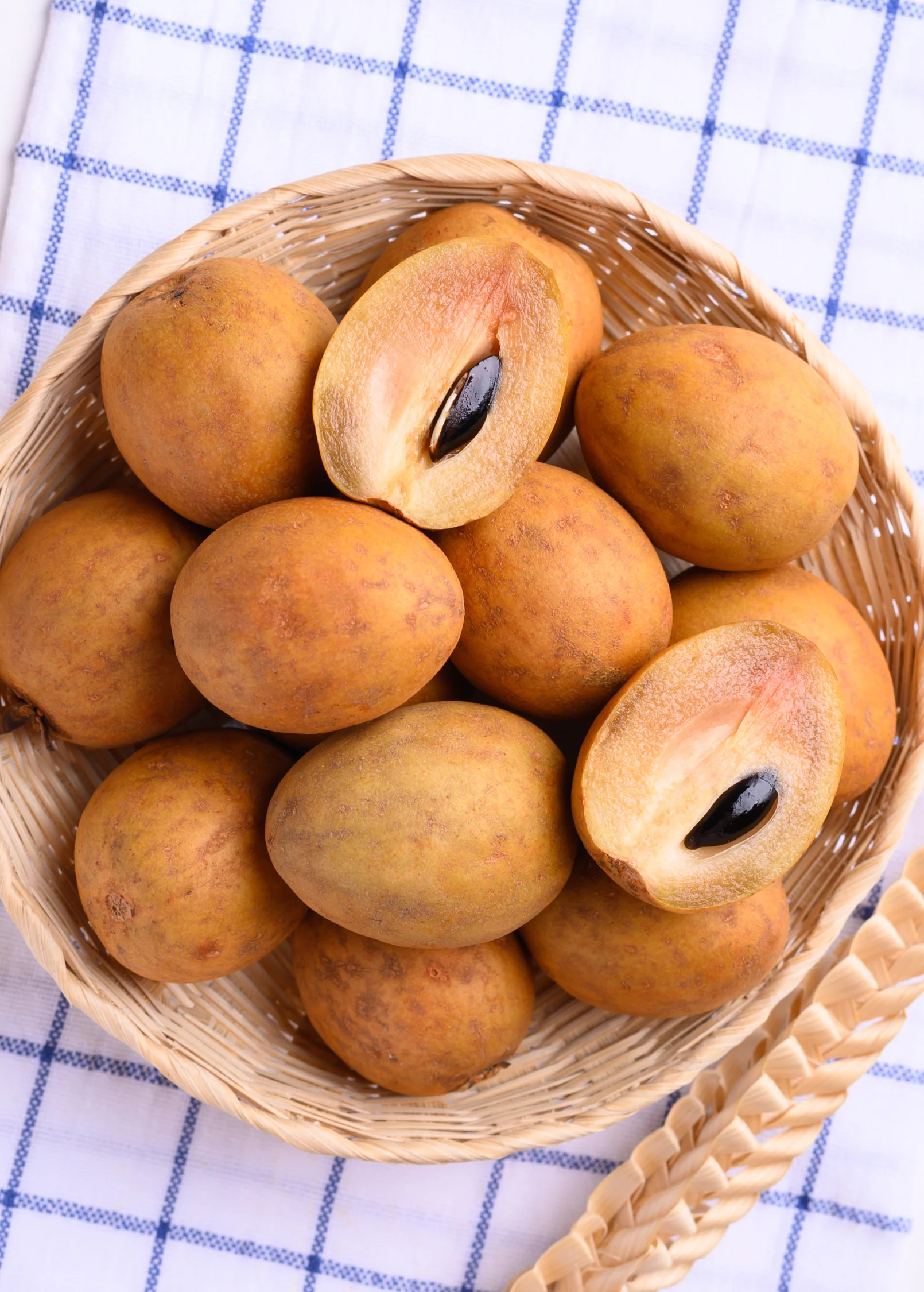 Sapodilla, Seedling (Manilkara zapota) - Image 2