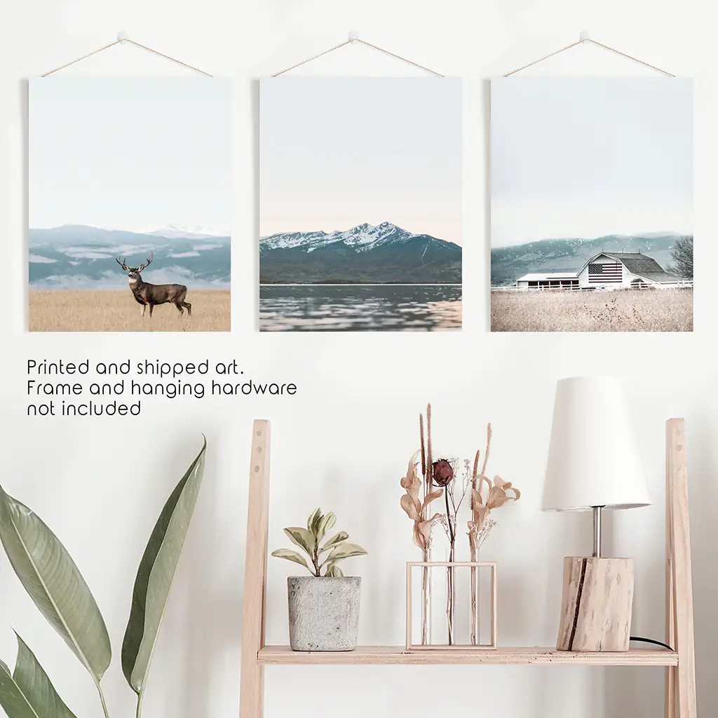 Set of 3 US Nature Photography. Colorado Travel Wall Art - Image 10
