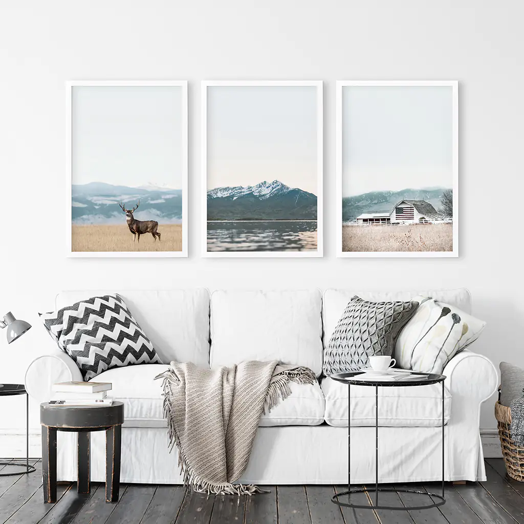 Set of 3 US Nature Photography. Colorado Travel Wall Art - Image 2