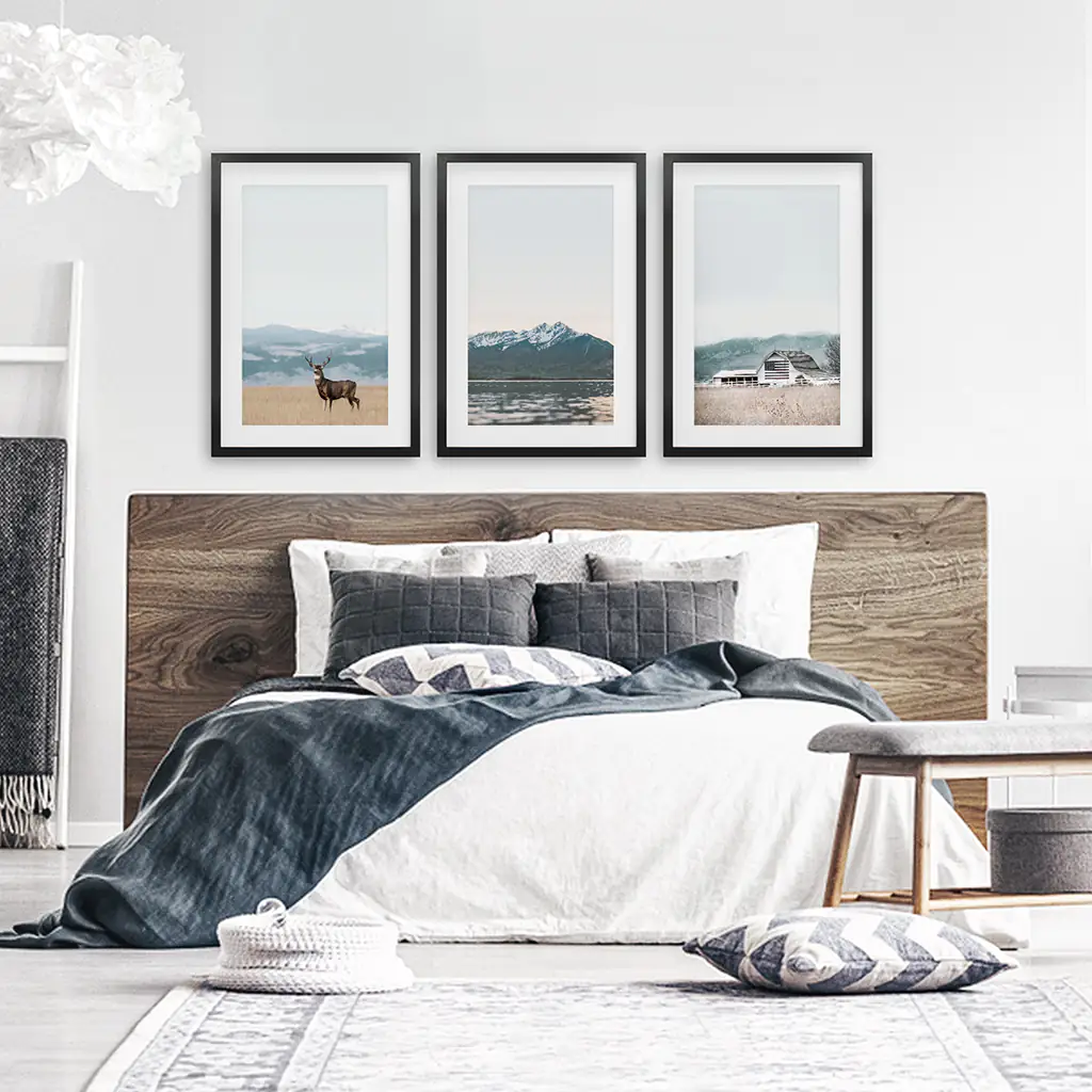Set of 3 US Nature Photography. Colorado Travel Wall Art - Image 4