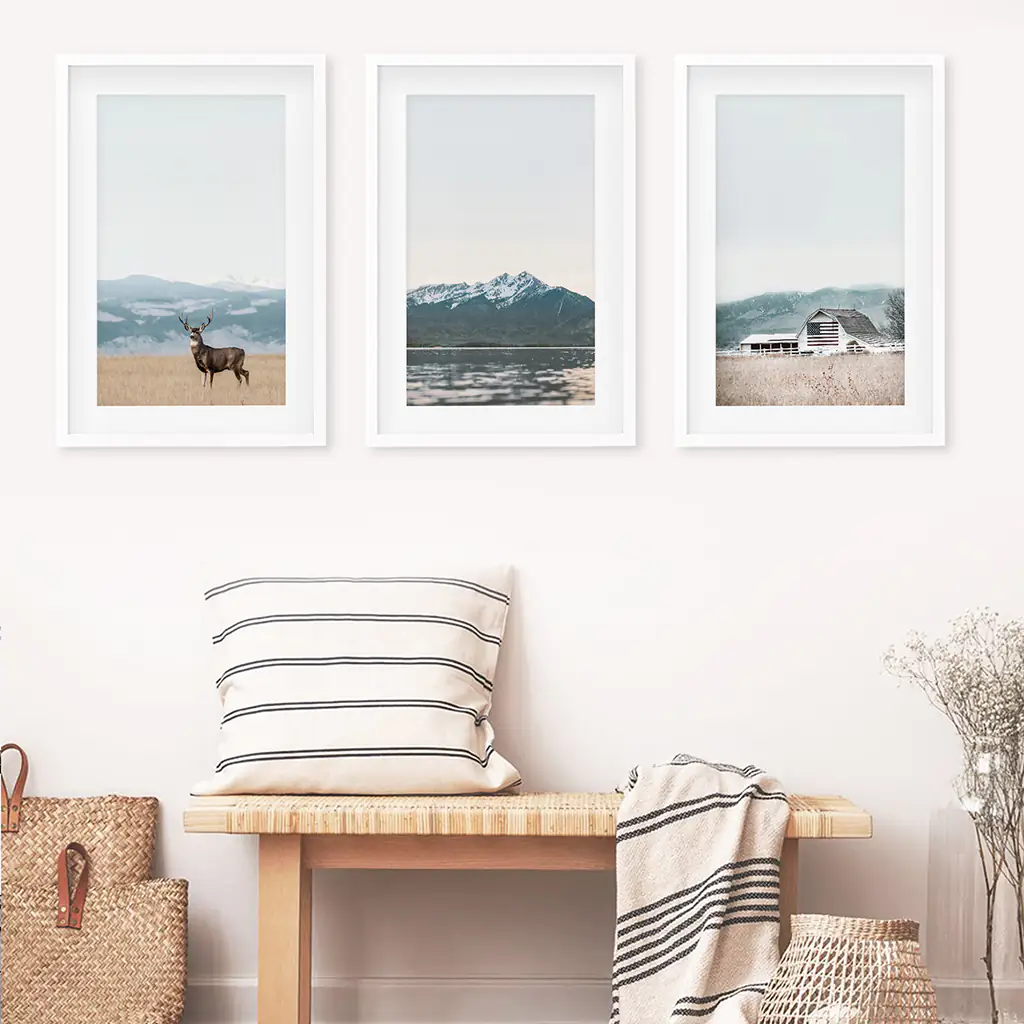 Set of 3 US Nature Photography. Colorado Travel Wall Art - Image 5