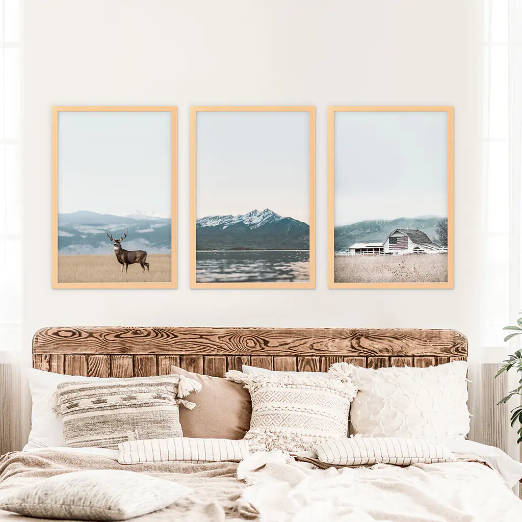 Set of 3 US Nature Photography. Colorado Travel Wall Art - Image 6