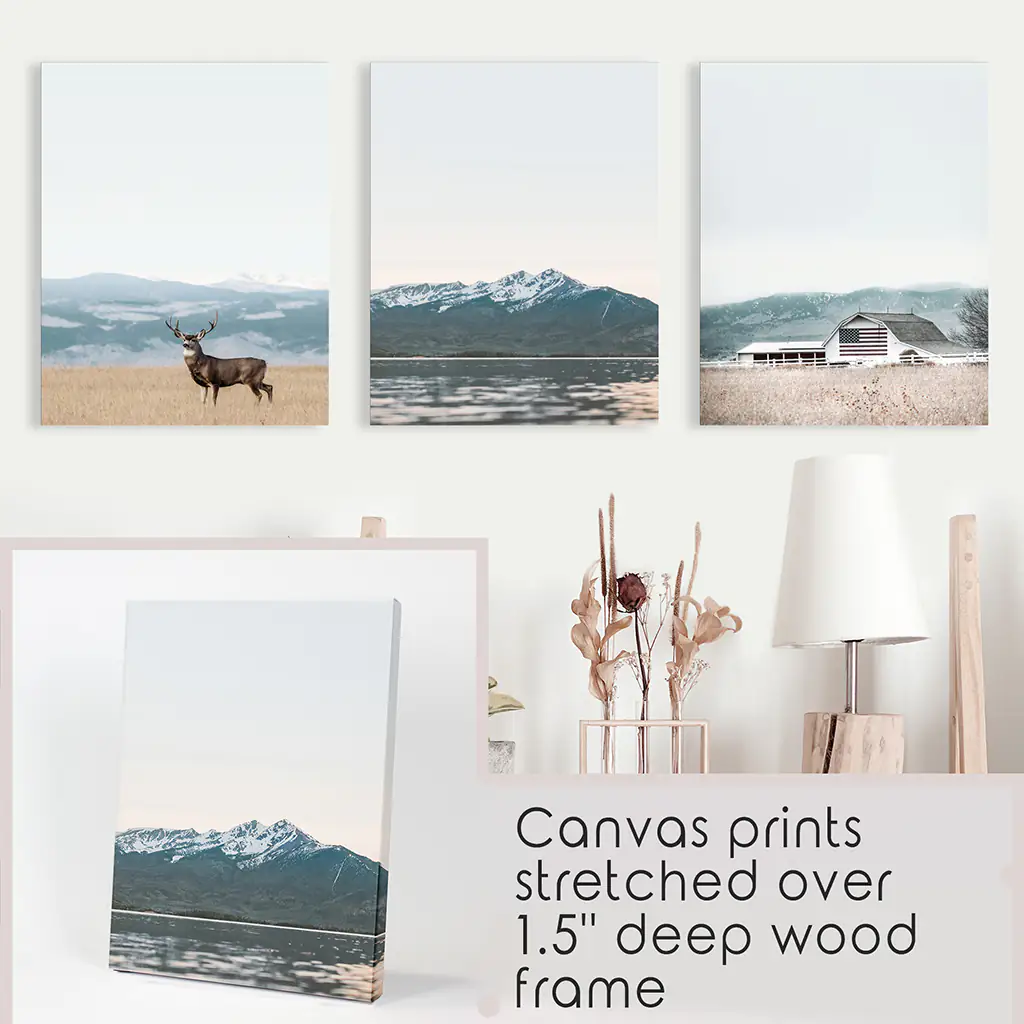 Set of 3 US Nature Photography. Colorado Travel Wall Art - Image 9