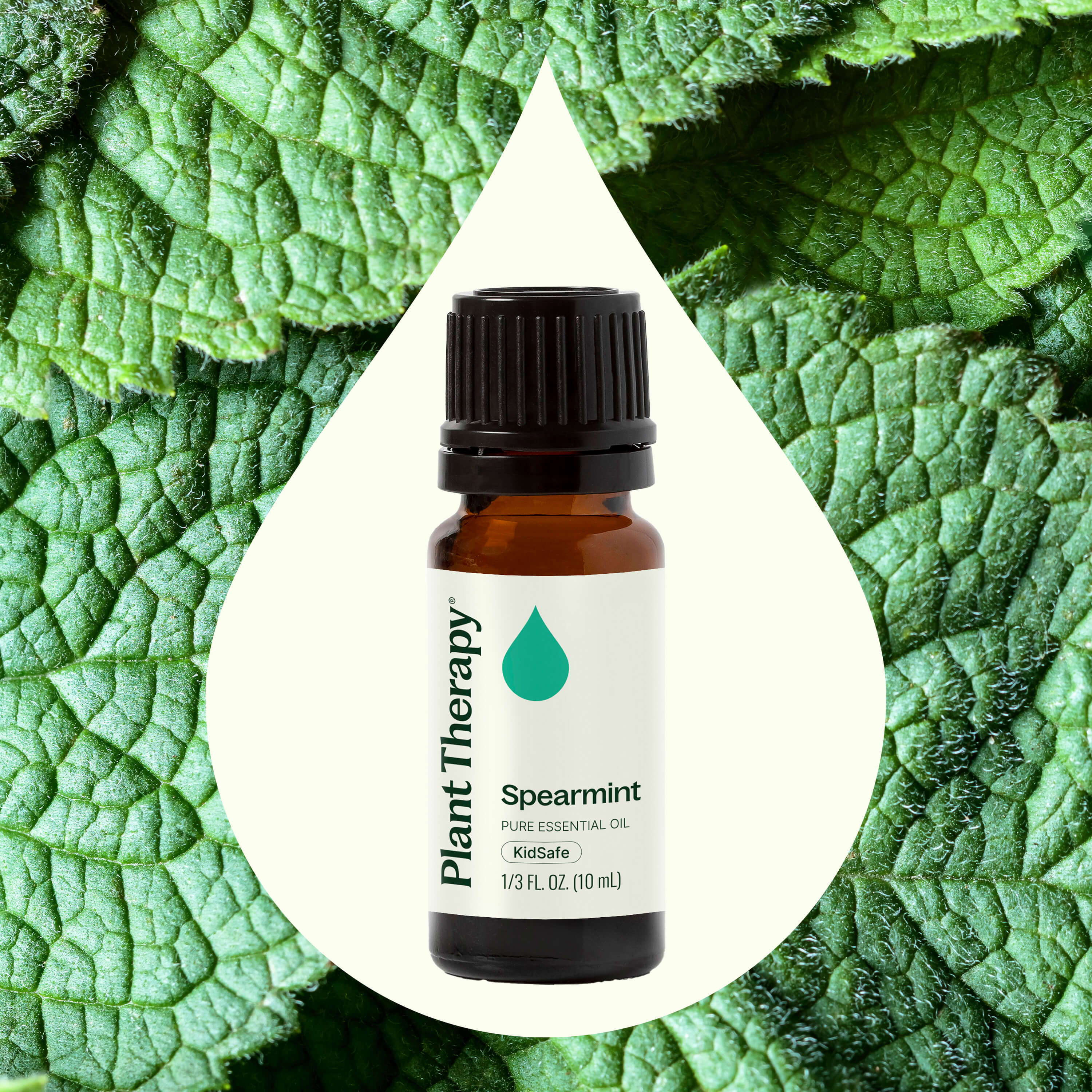 Spearmint Essential Oil - Image 2