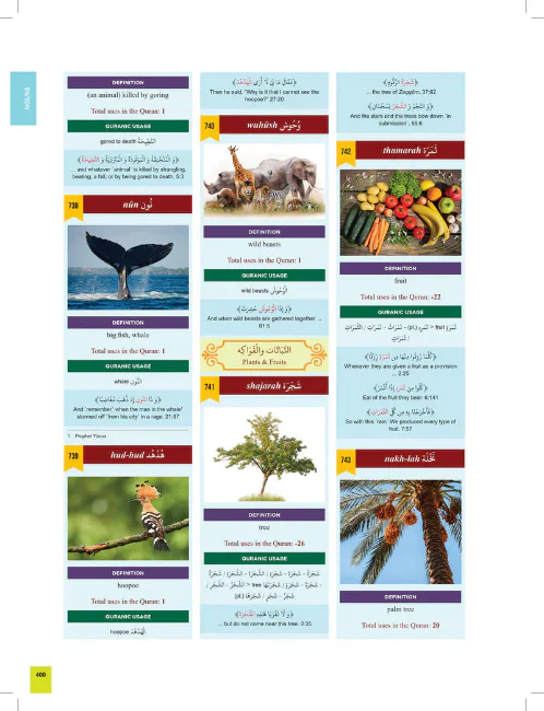 The Clear Quran Series Dictionary قاموس القران المبين (Hardcover) - Image 3