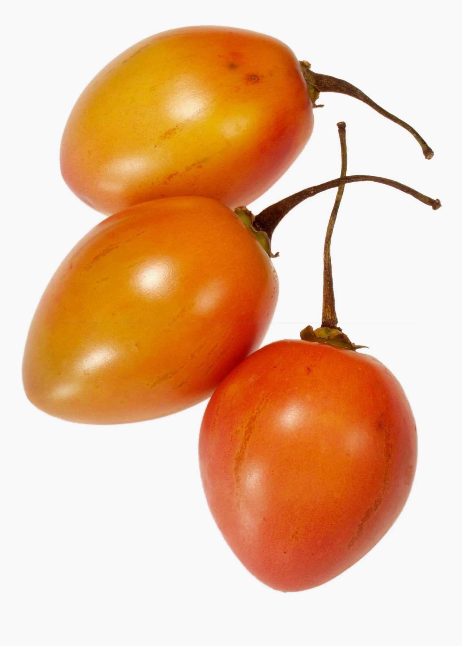 Tree Tomato, Orange (Cyphomandra betaceae) - Image 3