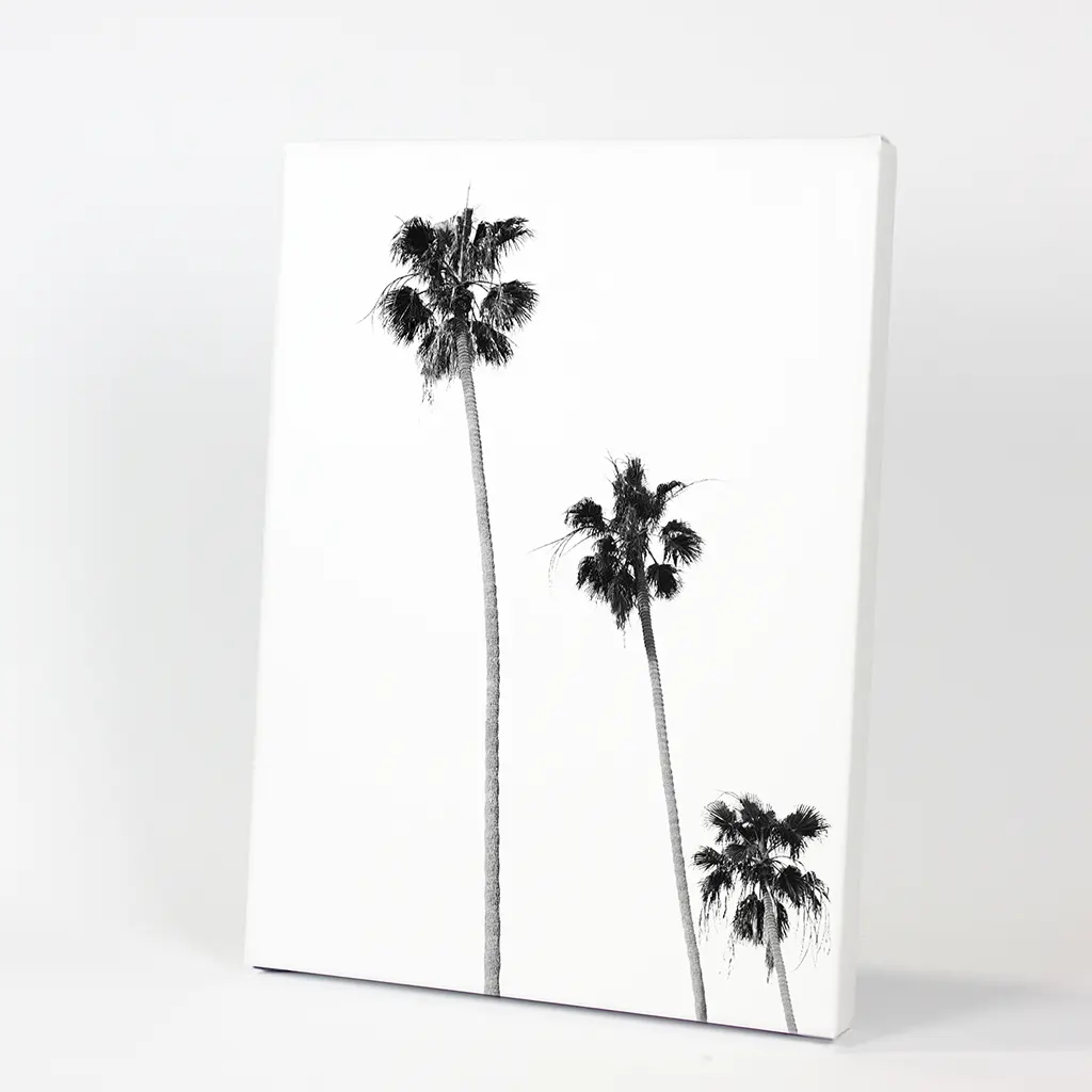 Tropical Black White Palm Trees Wall Decor - Image 9