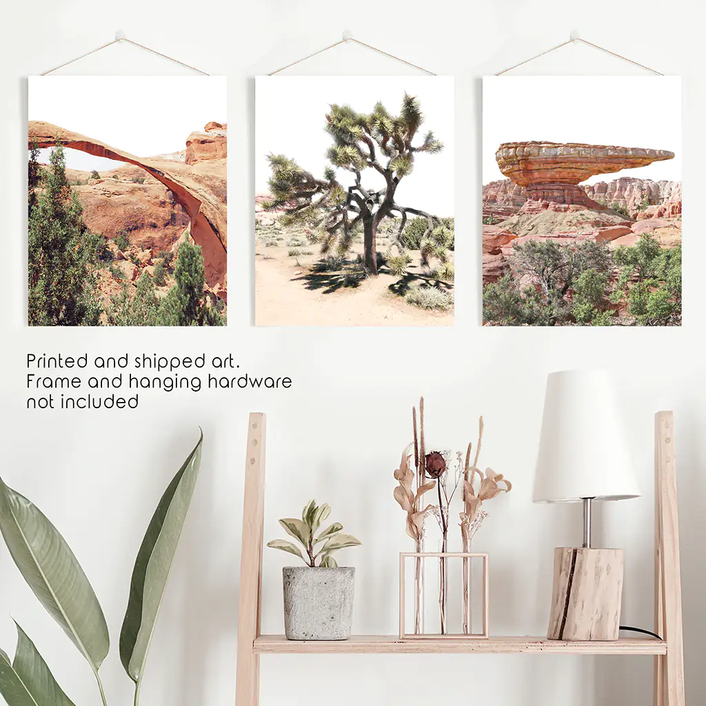 US Desert Wall Art. Arches National Park, Cliff, Joshua Tree - Image 10