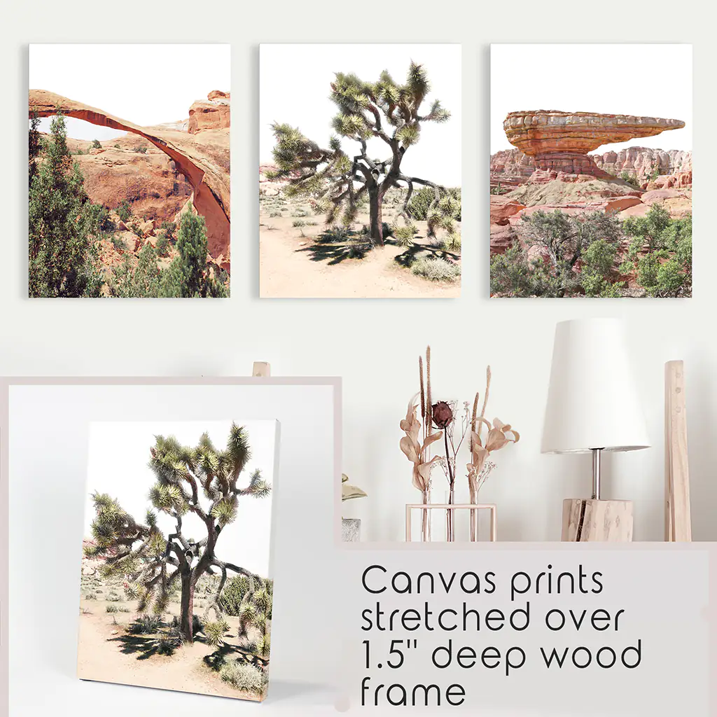 US Desert Wall Art. Arches National Park, Cliff, Joshua Tree - Image 9