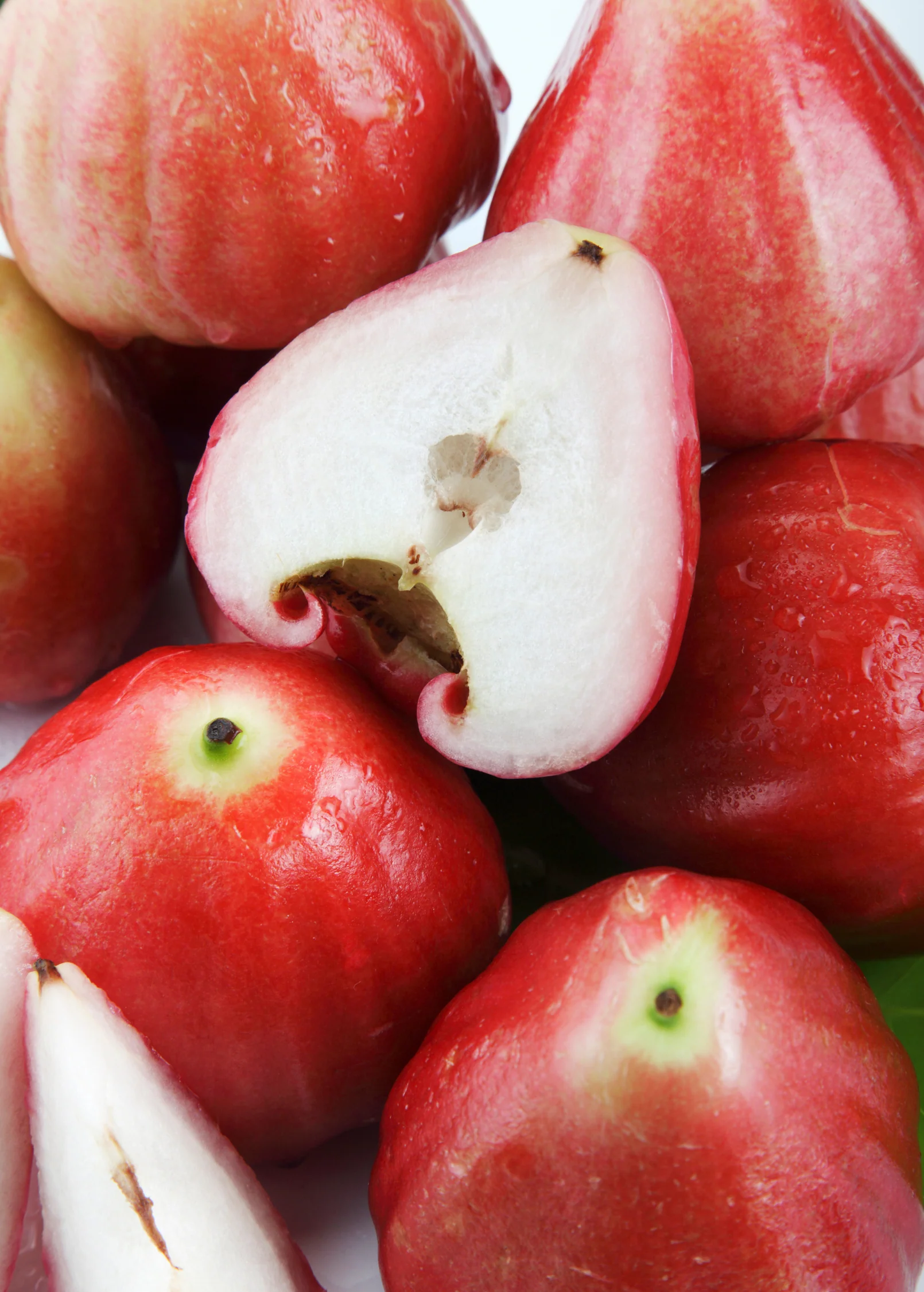 Wax Jambu, Red (Syzygium samarangense) - Image 2