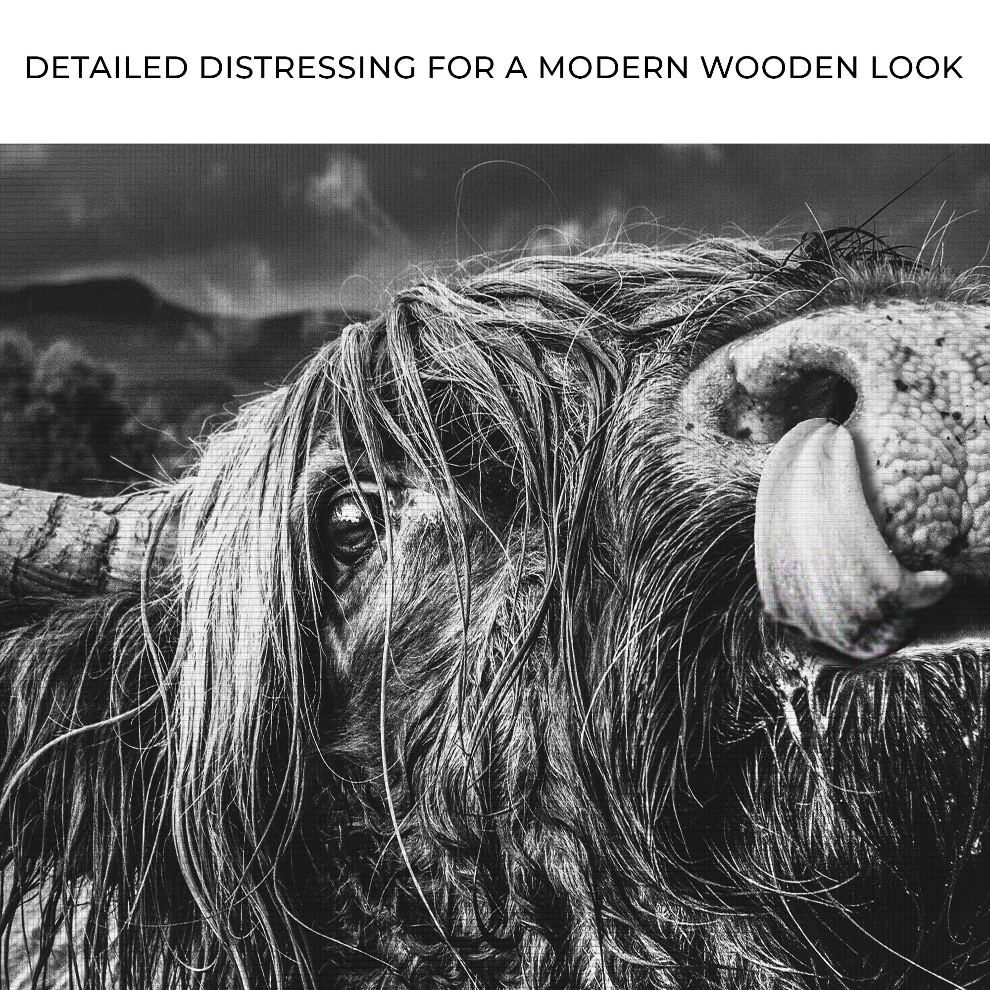 West Highland Cow Monochrome Canvas Wall Art - Image 4