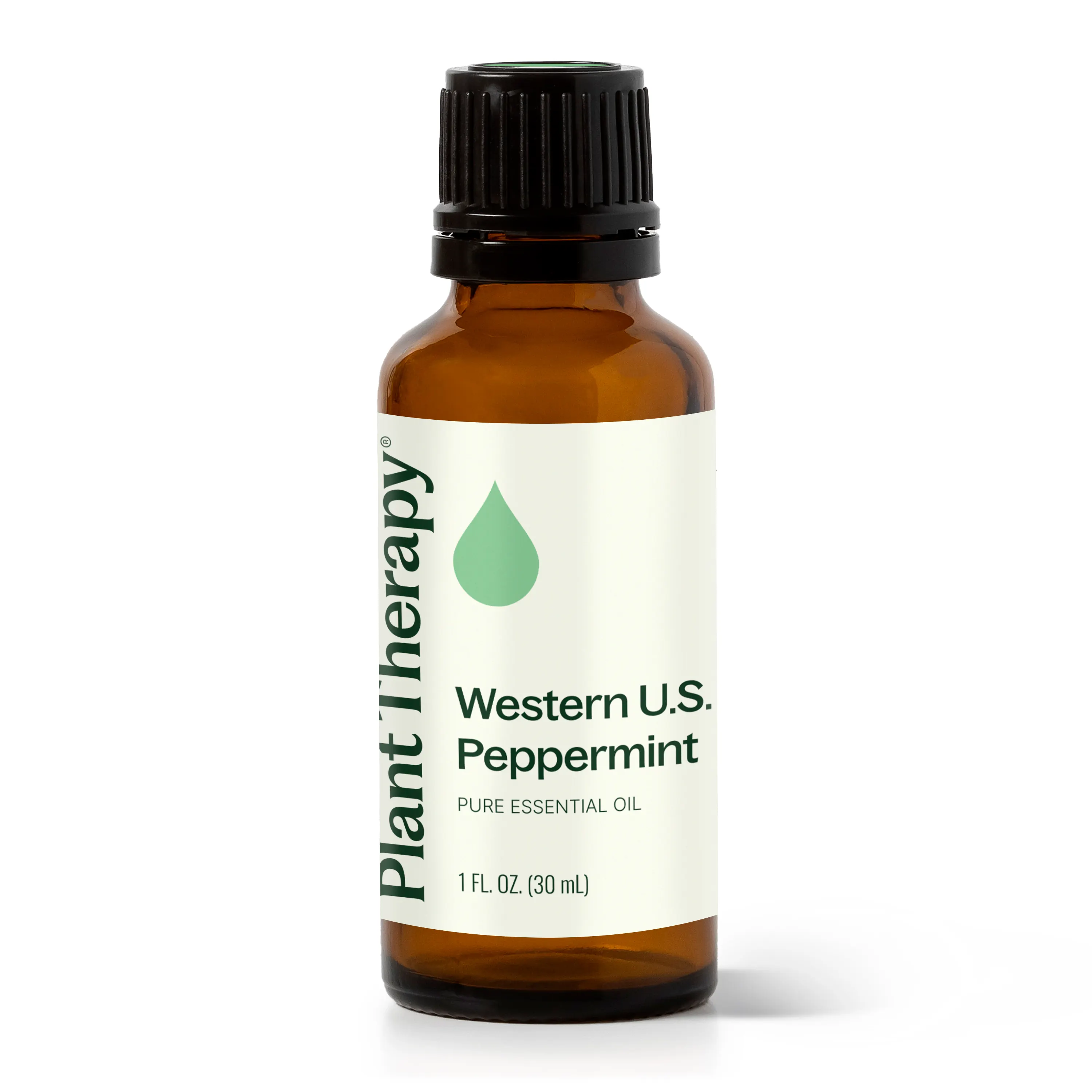 Western U.S. Peppermint Essential Oil - Image 14