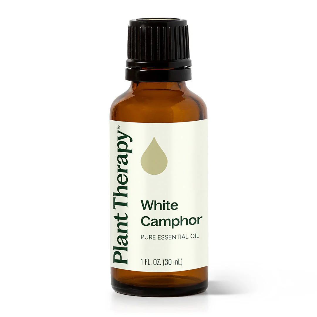 White Camphor Essential Oil - Image 7